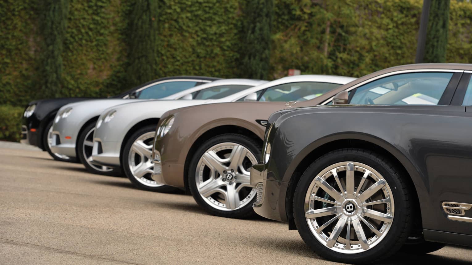 Side view of various luxury sedans lined up on front drive