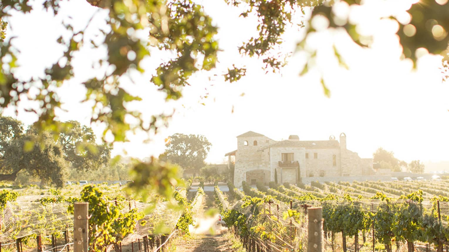 Sun glows over rows of vines in California vineyard, Sunstone Vineyards stone house