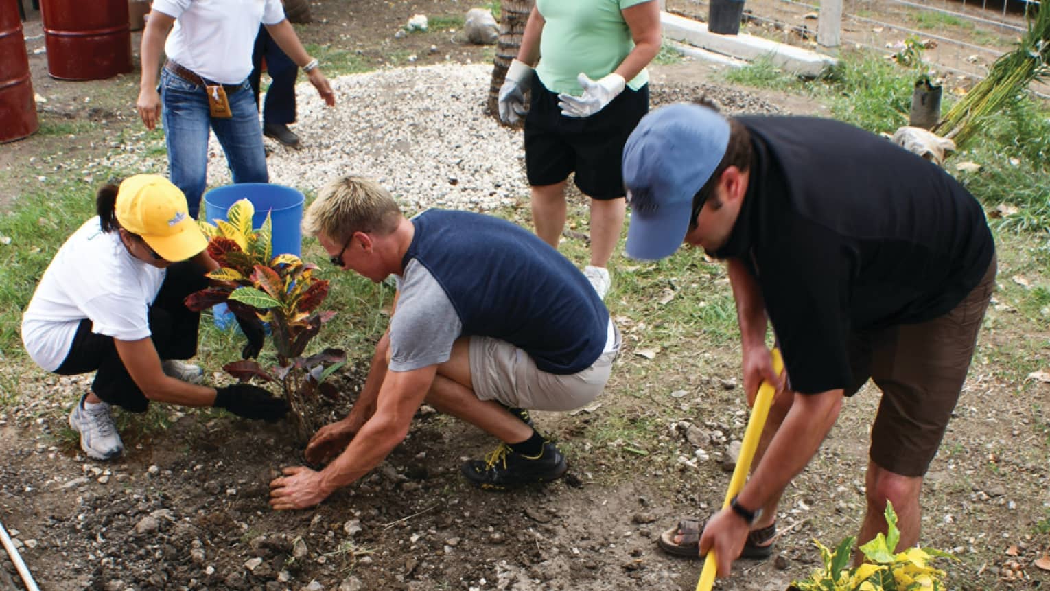 Group of adults wearing hats, garden gloves help plant trees and tropical plants