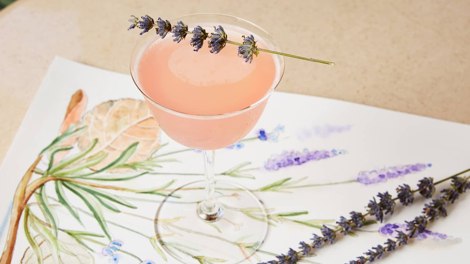Sprig of dried lavendar on pink martini in glass sitting on floral watercolour painting