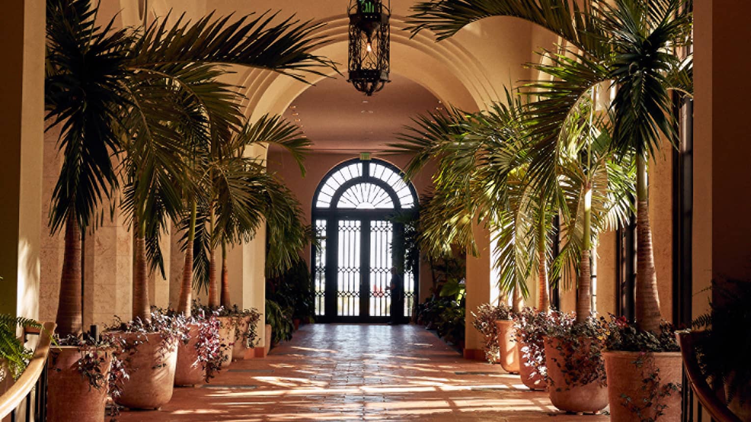 Hotel corridor flanked on either side by potted palms, French doors at the far end 