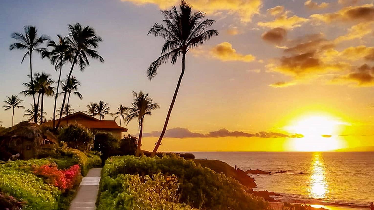 A narrow walking path leads to a hut surrounded by palm trees, with the ocean reflecting the brilliant golden sunset glow.