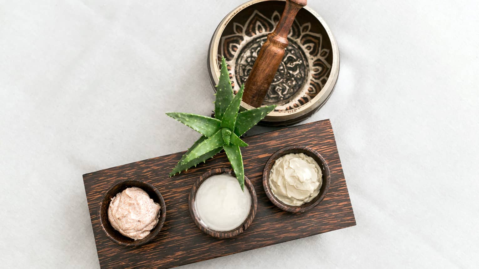 Aerial view of decorative mortar and pestle, small aloe plant, wood tray with three small bowls with creams