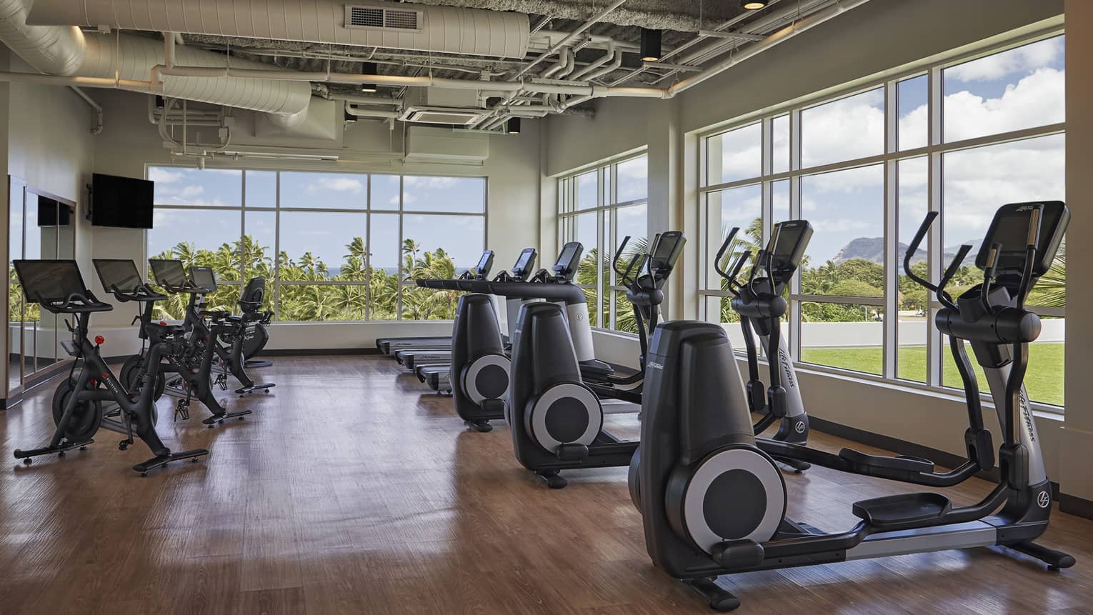Ellipticals, treadmills and stationary bicycles are lined up next to large windows in the gym