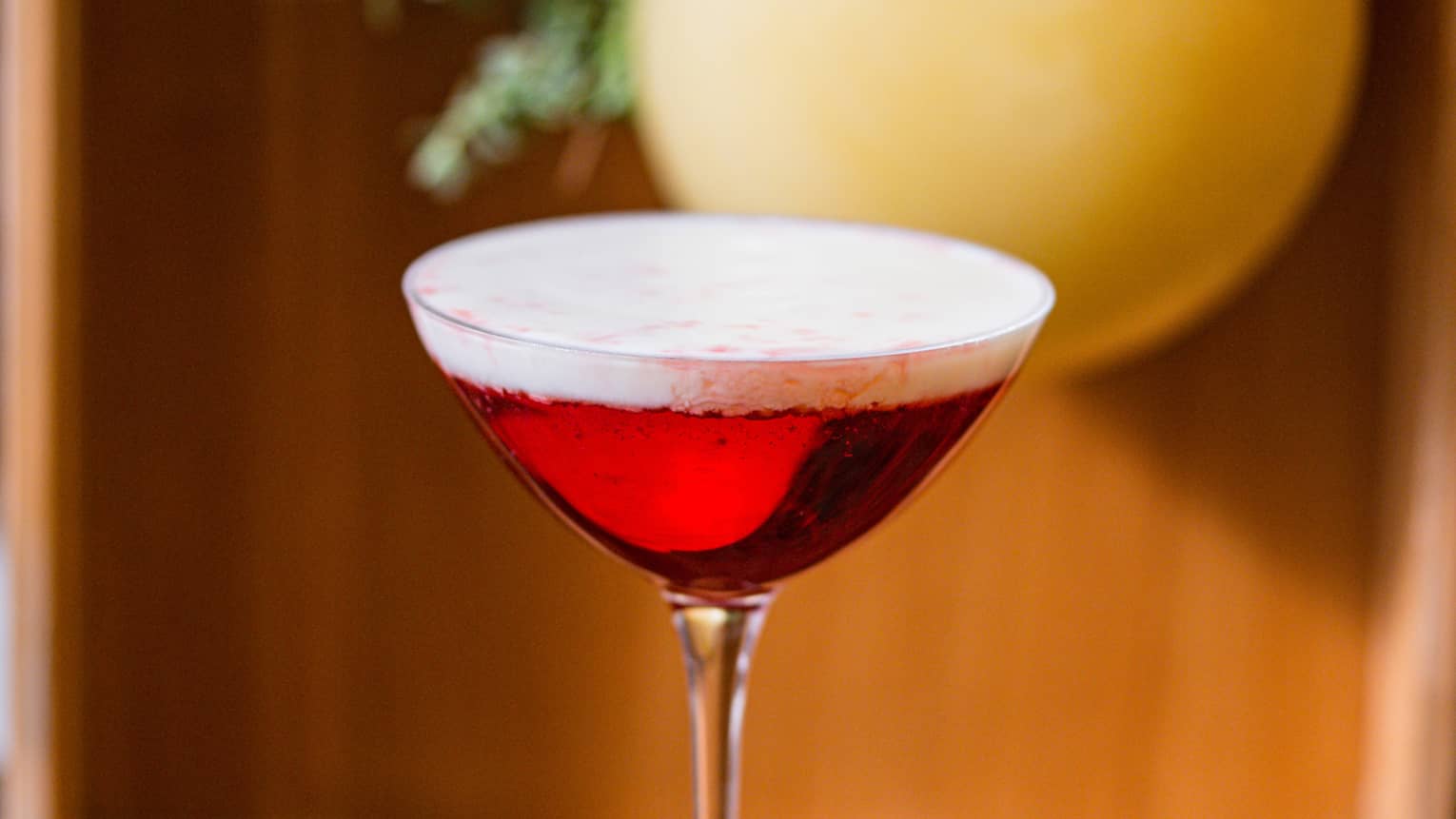 A red cocktail in a long stemmed glass.