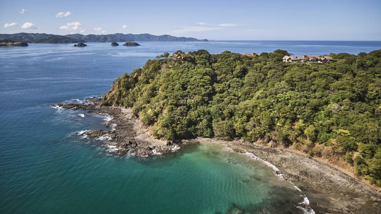 A beach shore covered in forest.