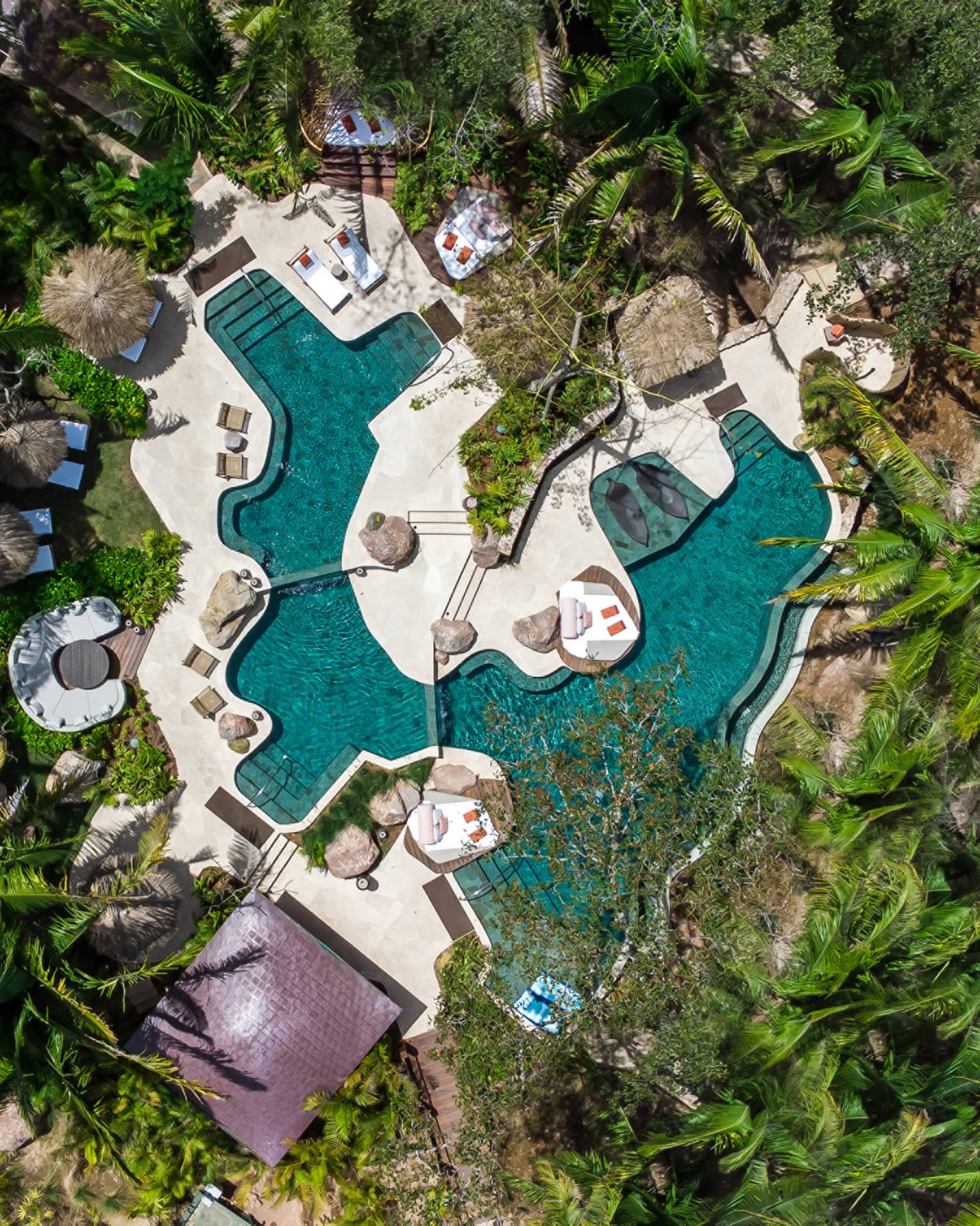 A bird's eye view of an outdoor pool surrounded by trees.
