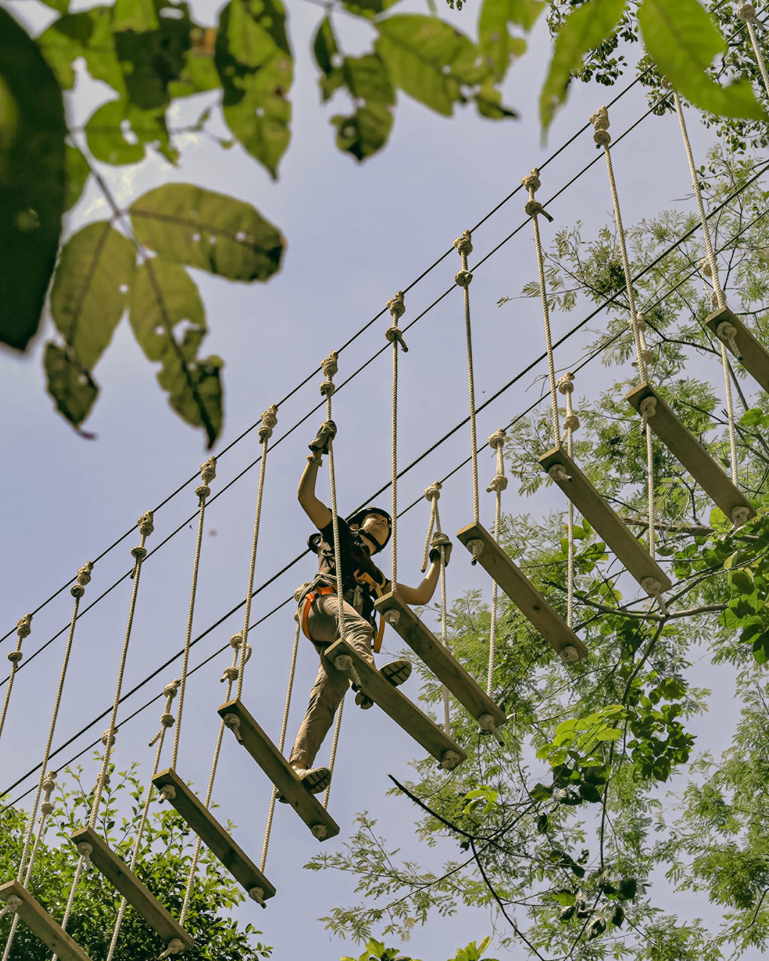 Overhead, a person crosses a bridge of wood planks suspended by ropes high above the forest canopy, surrounded by trees.