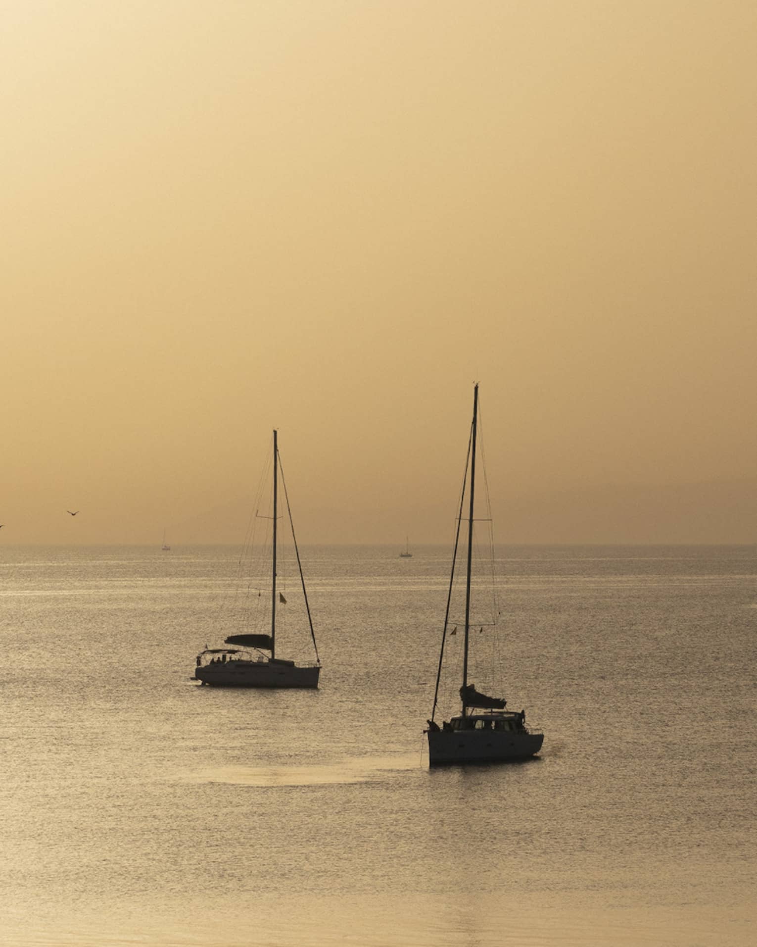 Silhouette of two sailboats at dusk on ocean cruising Greek isles. 