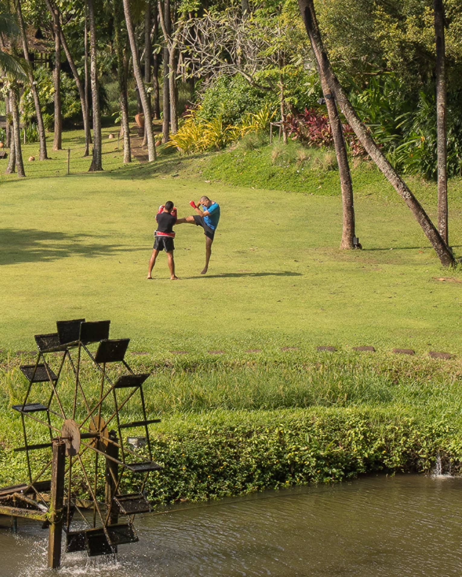 Long view of two boxers in a field, one kicking as the other blocks, dwarfed by soaring palms with a river in the foreground.