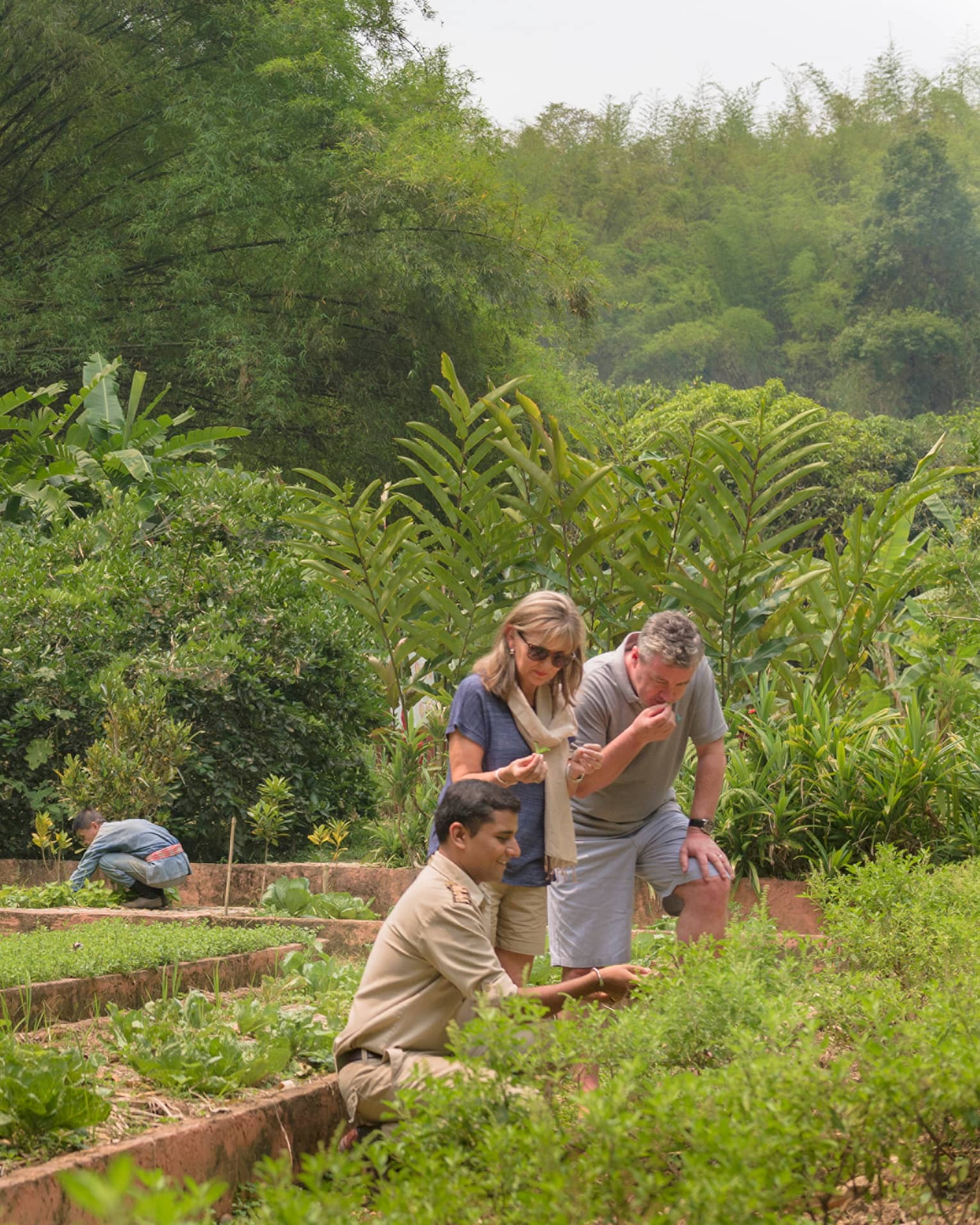 Couple is shown regional herbs, fruits and vegetables by kneeling staff member in lush garden