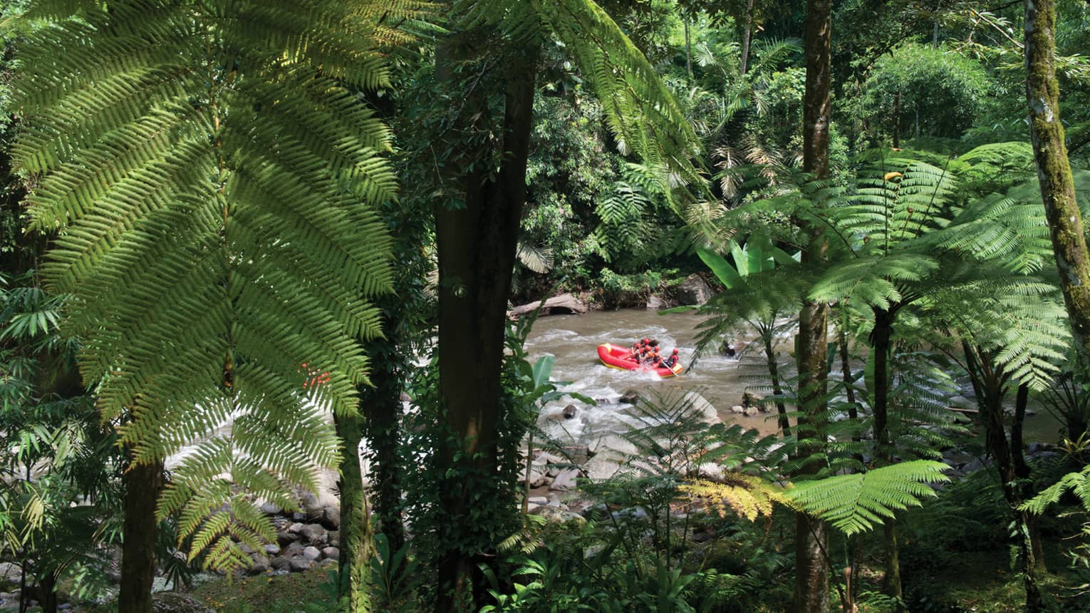 An aerial view of a red river raft shown through the trees 