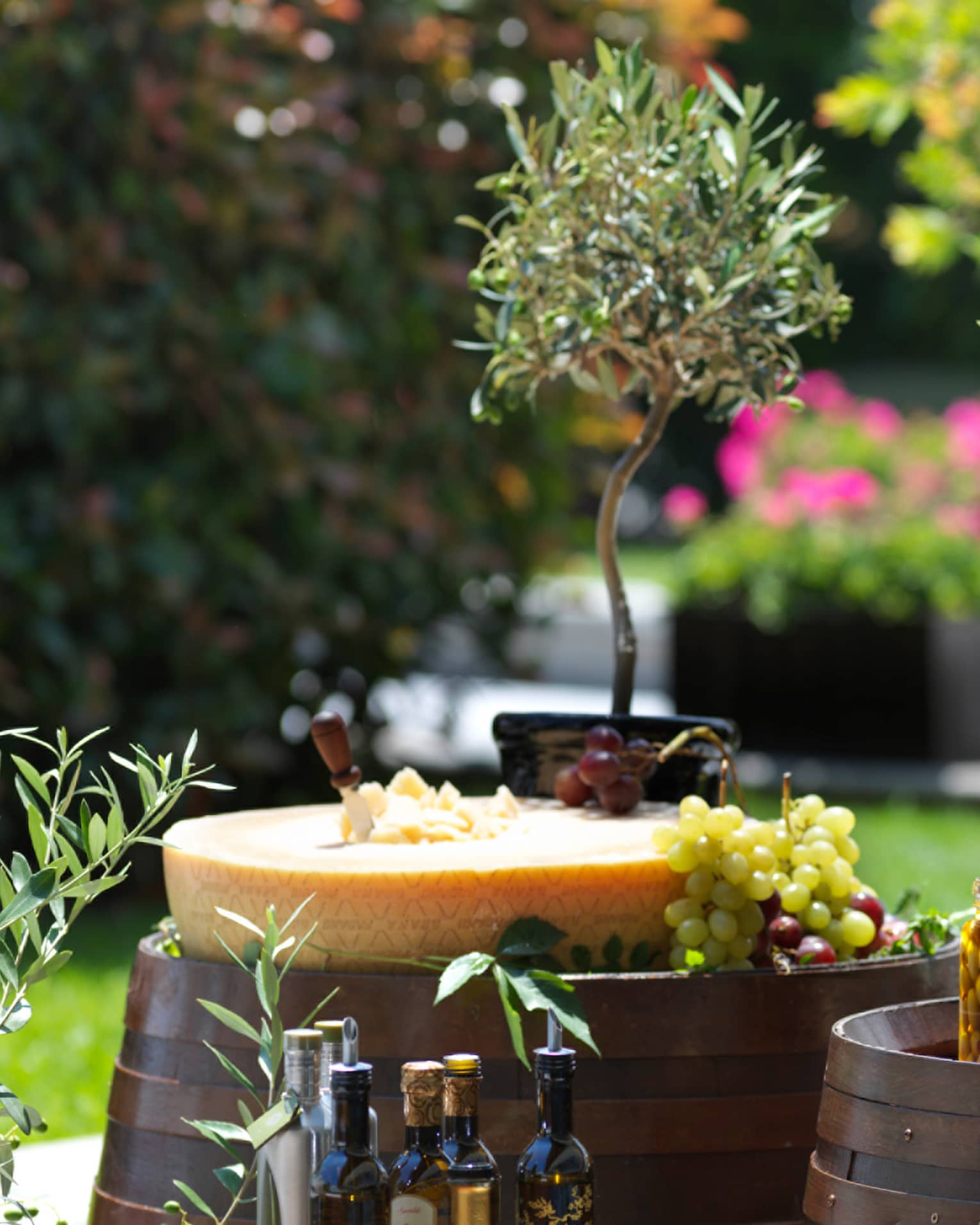 Potted olive trees, jars of olives, bottles of oil, a Parmesan cheese wheel, and grapes served atop two barrels in a garden.
