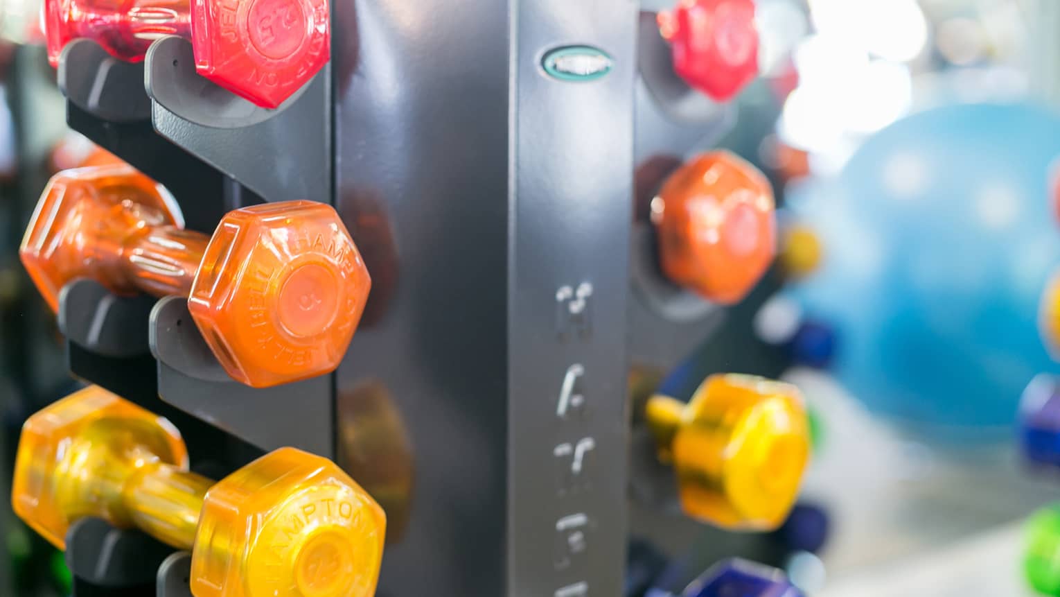 Colourful hand weights stacked in holder