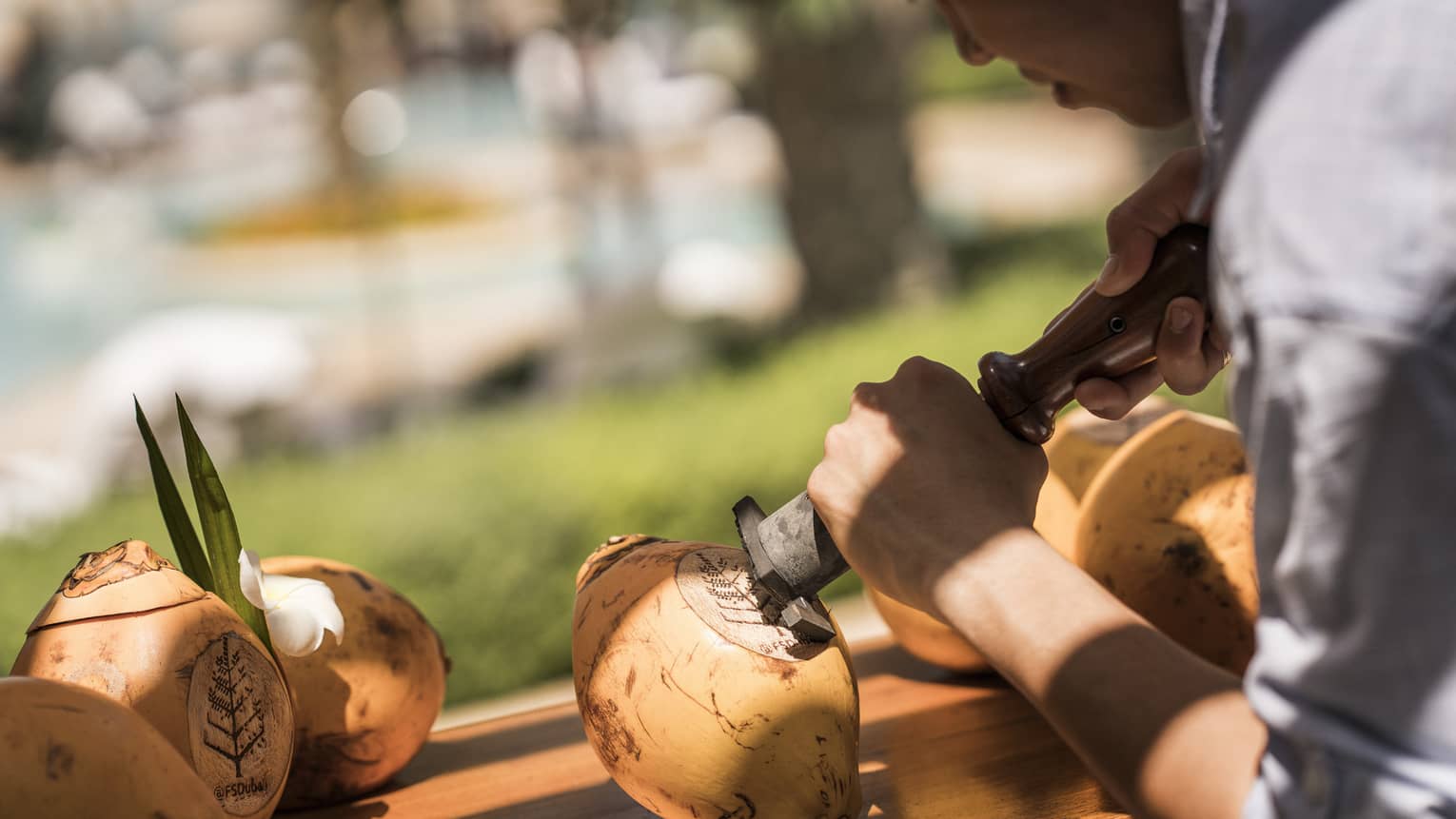 Man carved Four Seasons logo into coconuts