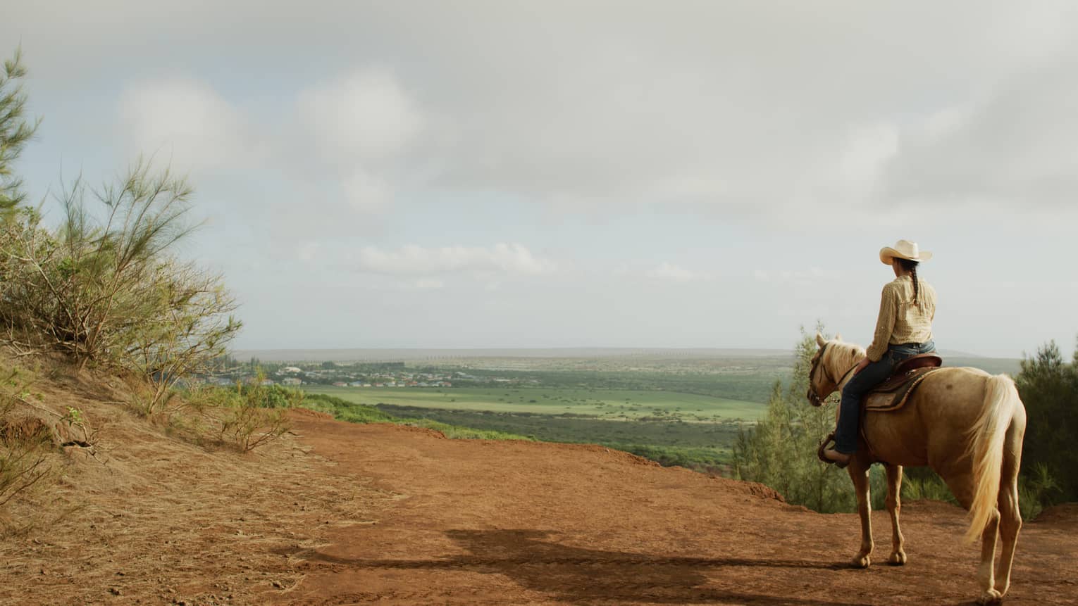 On a dirt track bordered by brush, rear view of a person on a golden horse viewing a green valley with distant houses beyond.