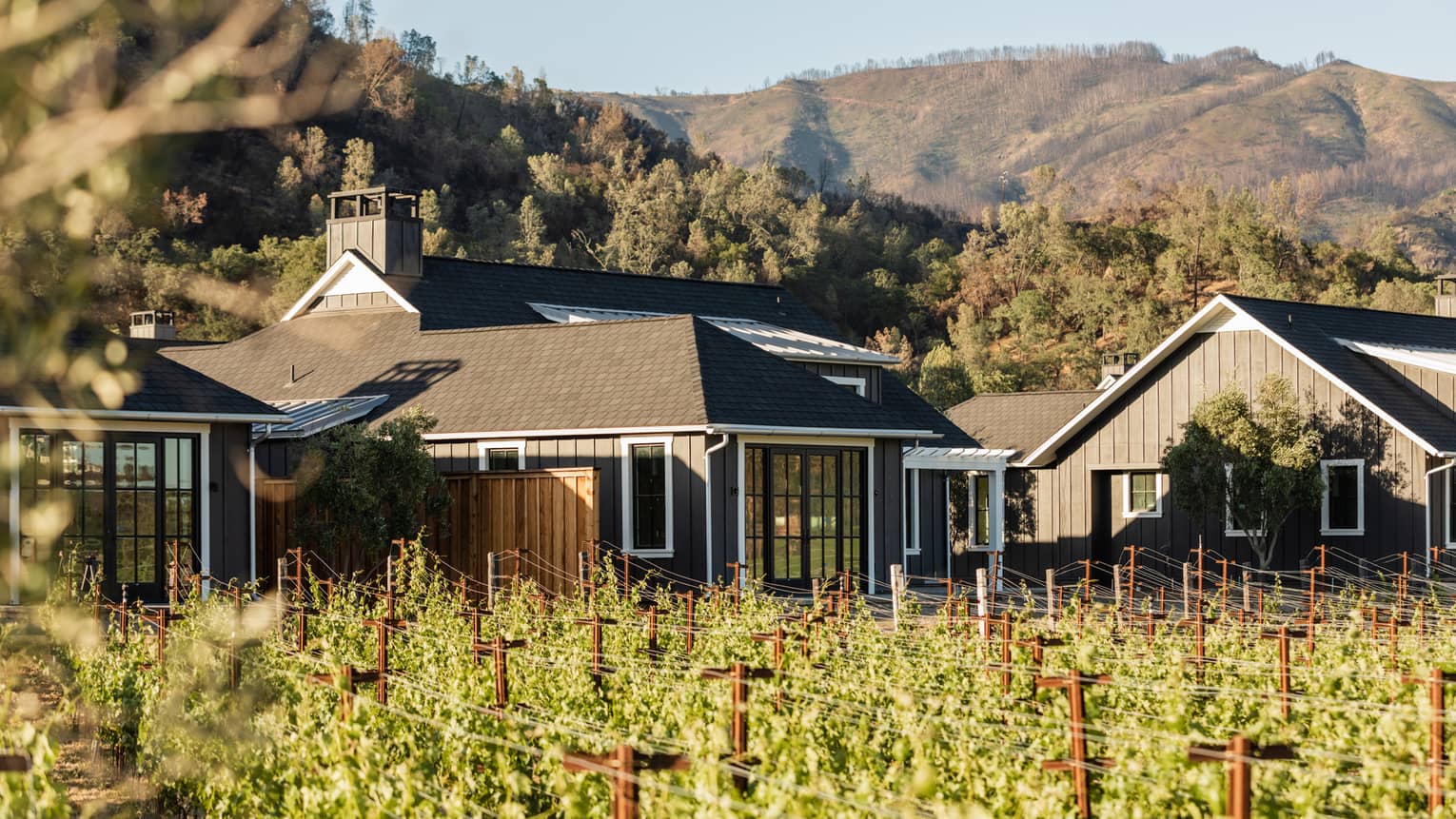 Single family home in wine country, rows of grape vines, mountain views