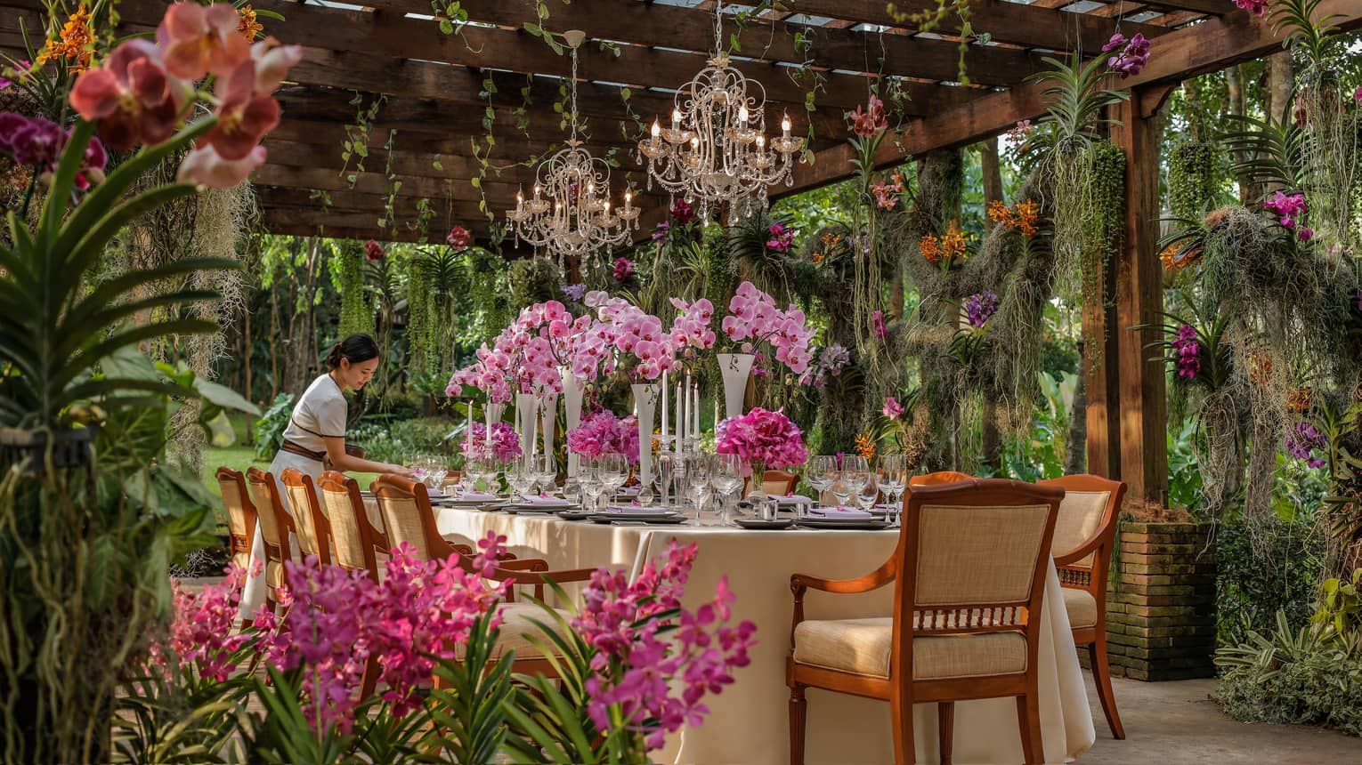 Hotel staff sets large formal dining table in tropical garden, large pink flowers under small crystal chandeliers
