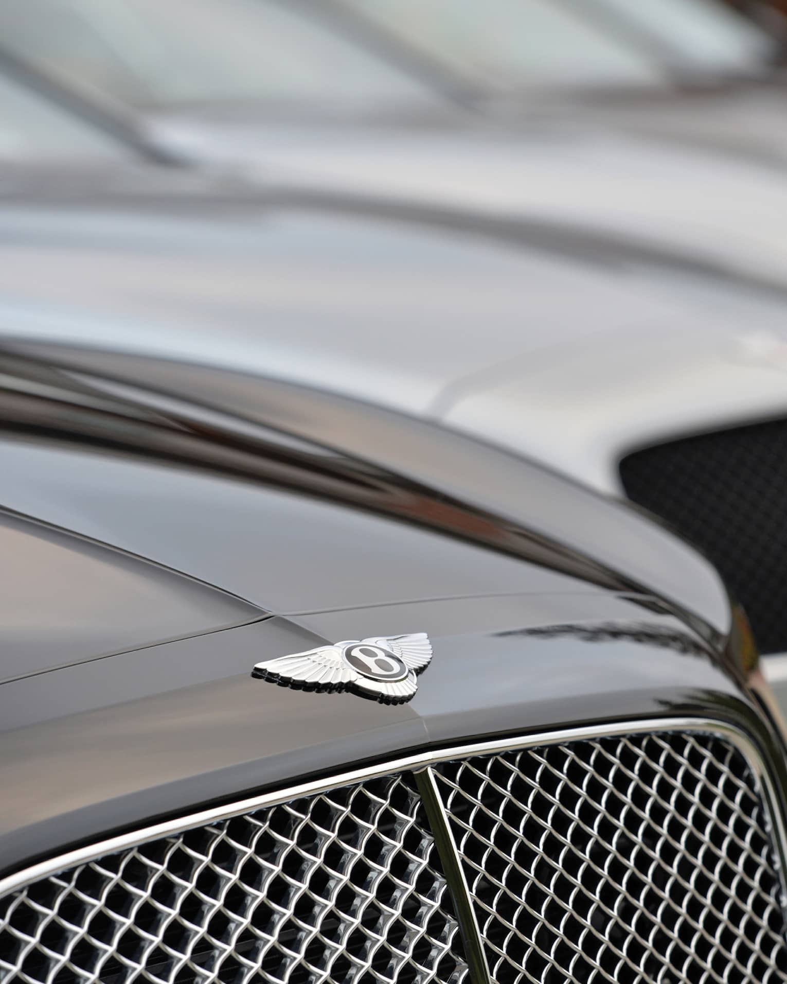 Close up of Bentley car, as part of line up of luxury cars 