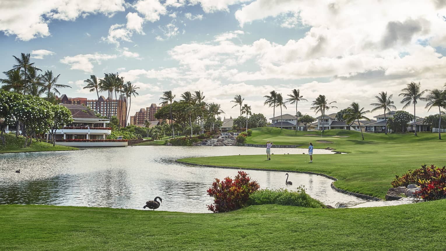 Golf course featuring a irregular shaped pond, tropical bushes, palm trees in the distance