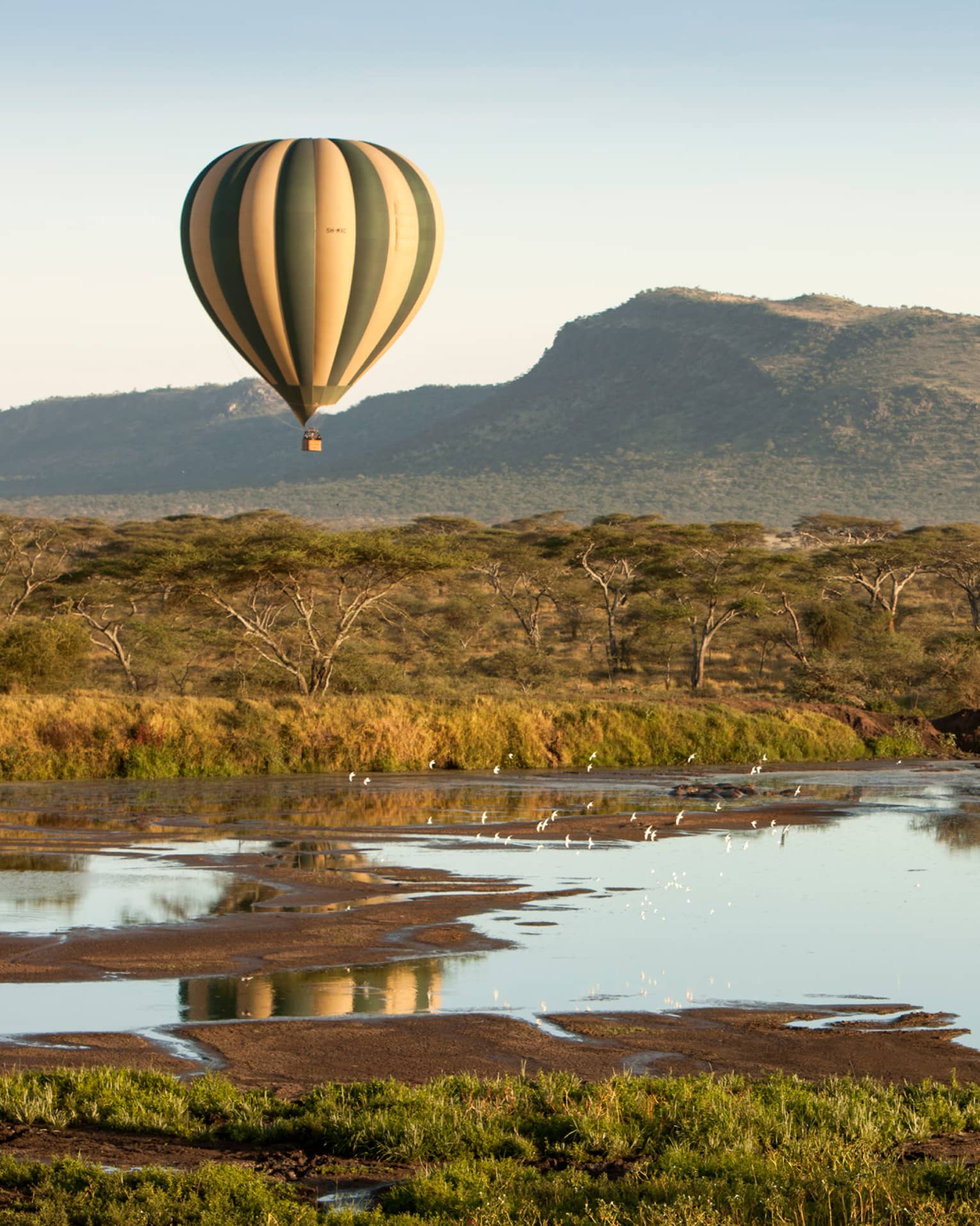 Striped hot air balloon floating over Serengeti fields, ponds