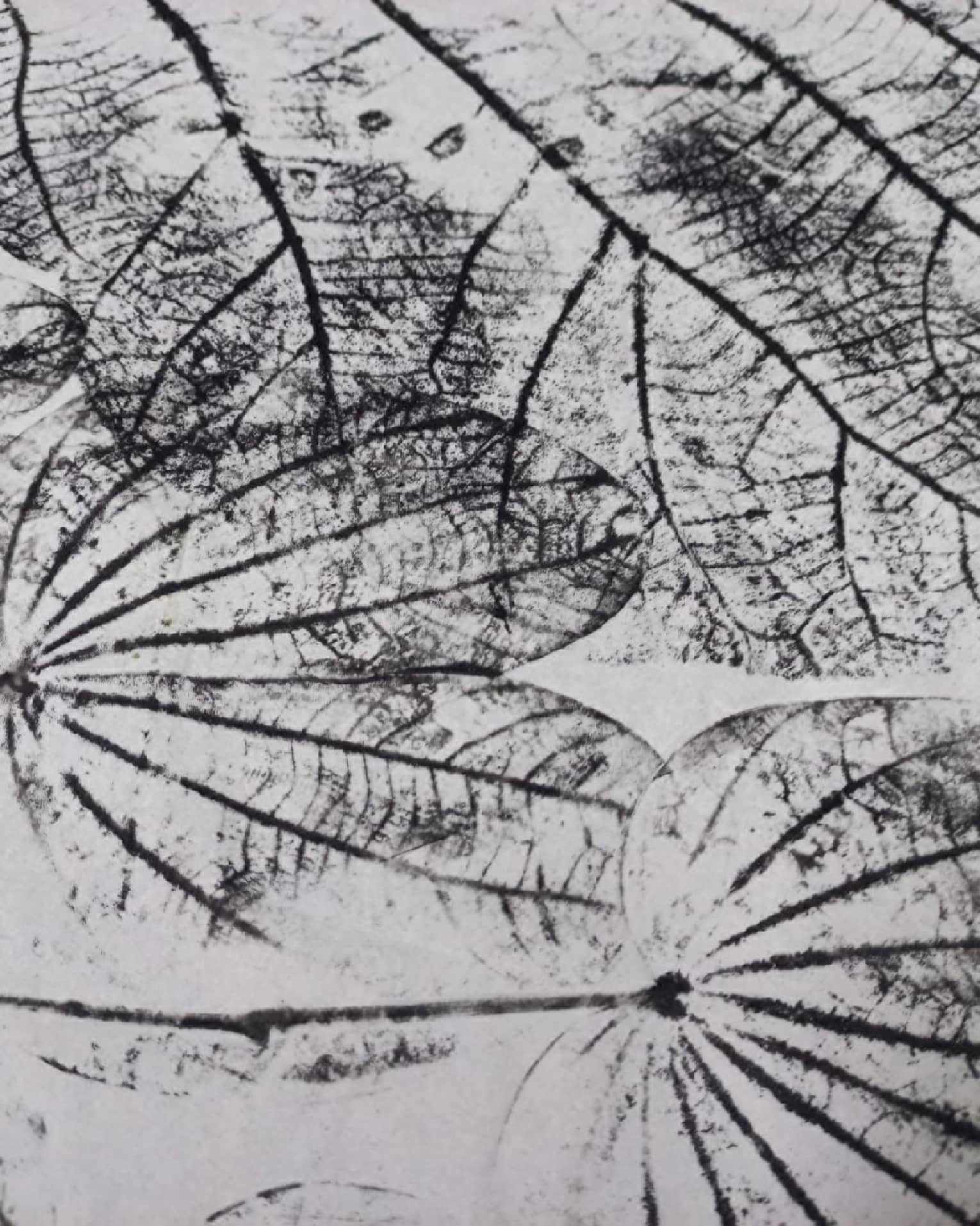 Prints of leaves on paper