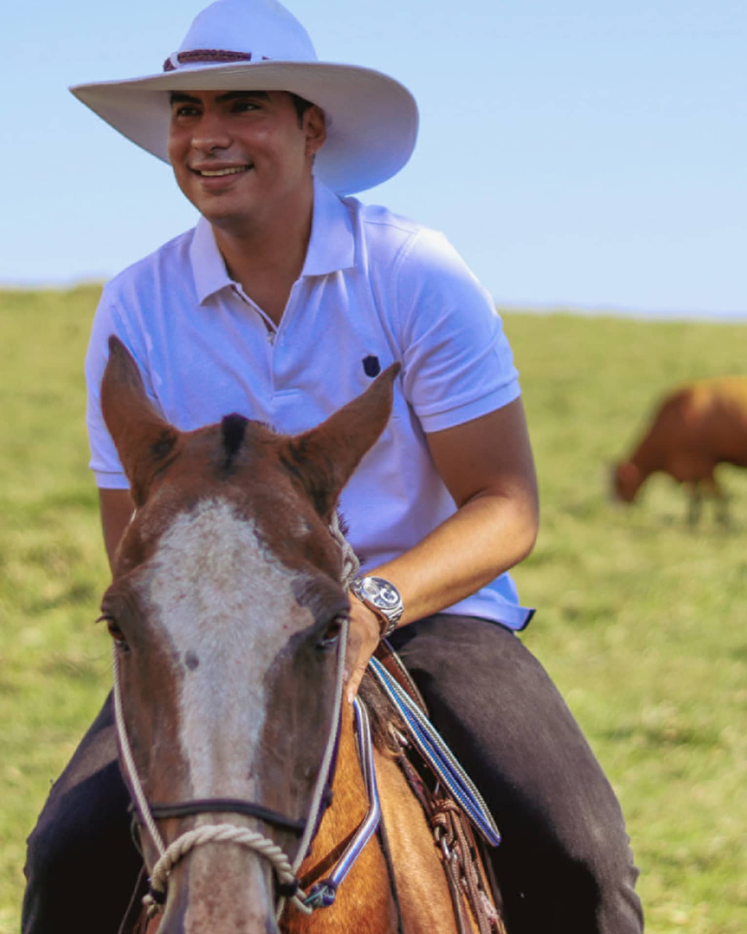 A grinning horseback rider in a white cowboy hat rides through a vast plain of green grass, cattle grazing in the background.