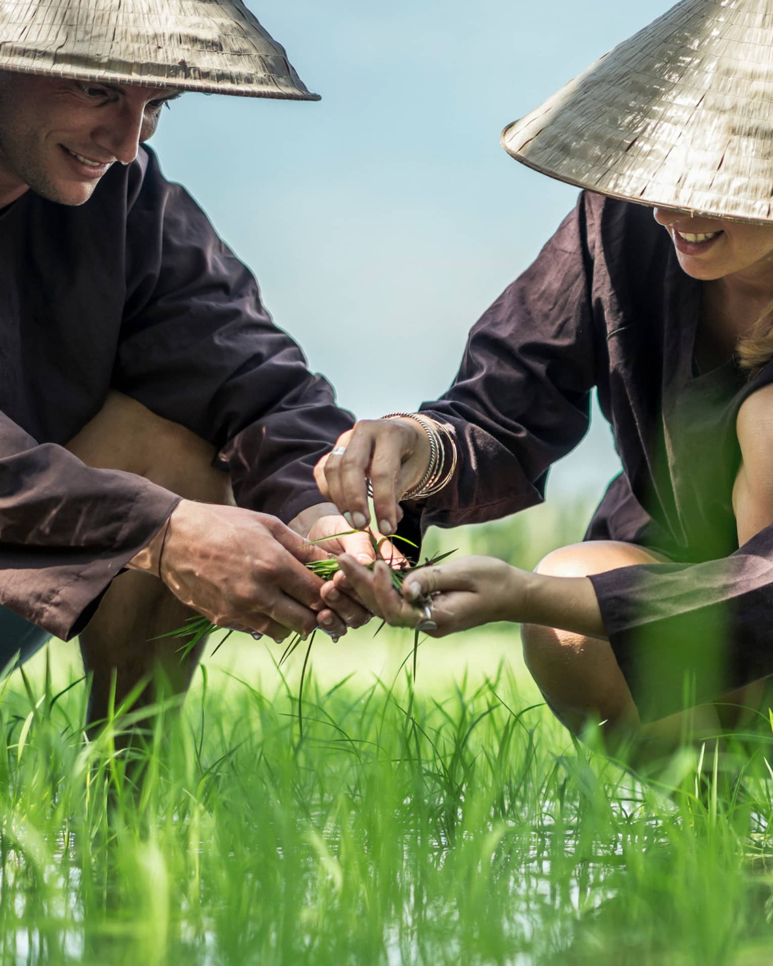 Couple wearing traditional farmer hats plant rice seedlings in water, grass