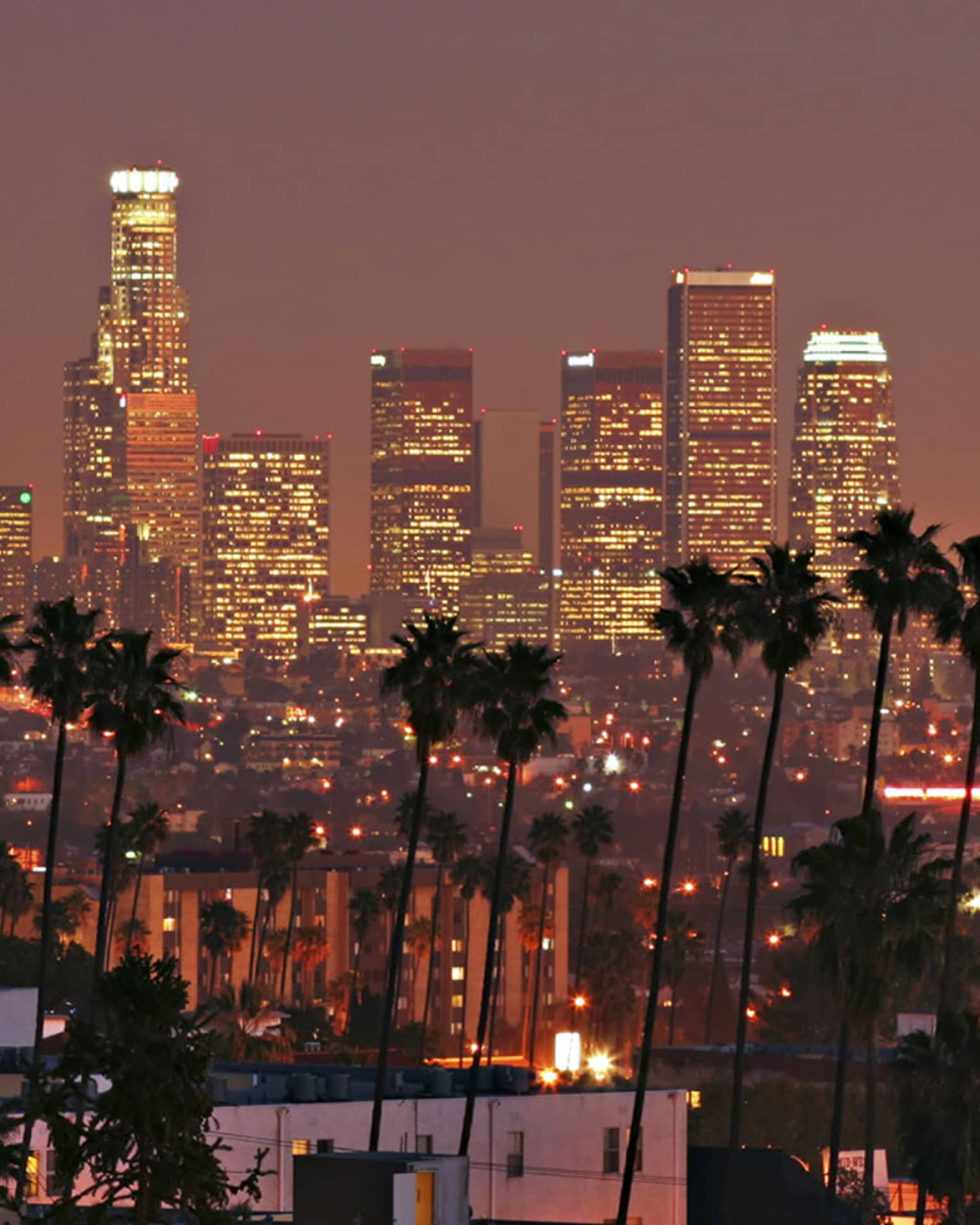 Los Angeles skyline buildings with lights, palm tree silhouettes at night