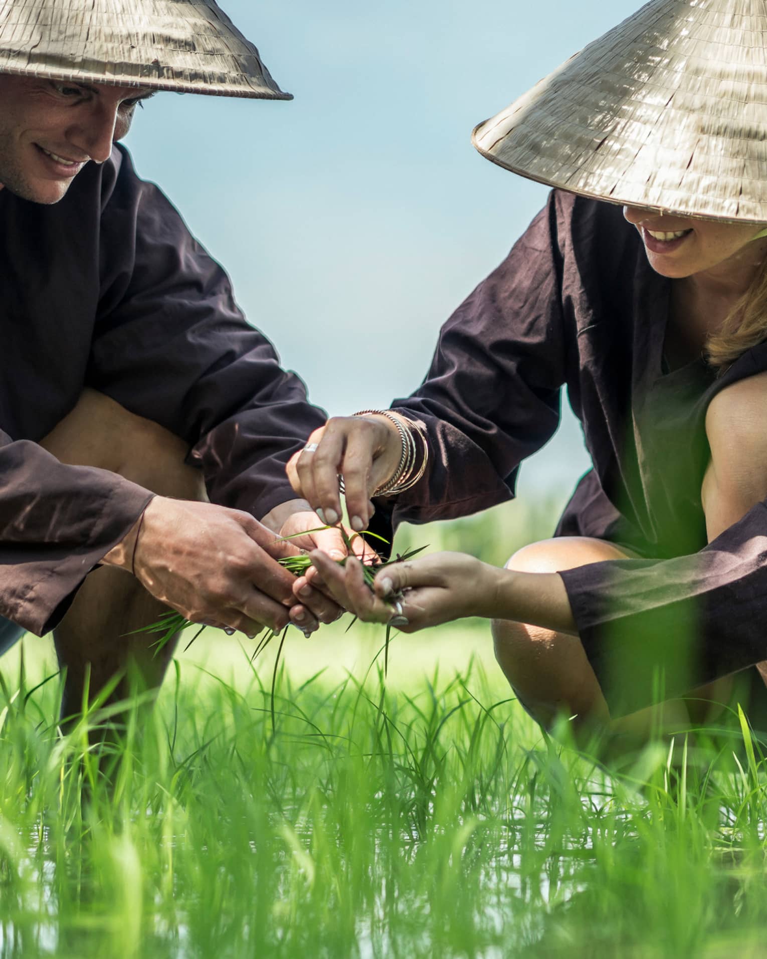 Couple wearing traditional farmer hats plant rice seedlings in water, grass