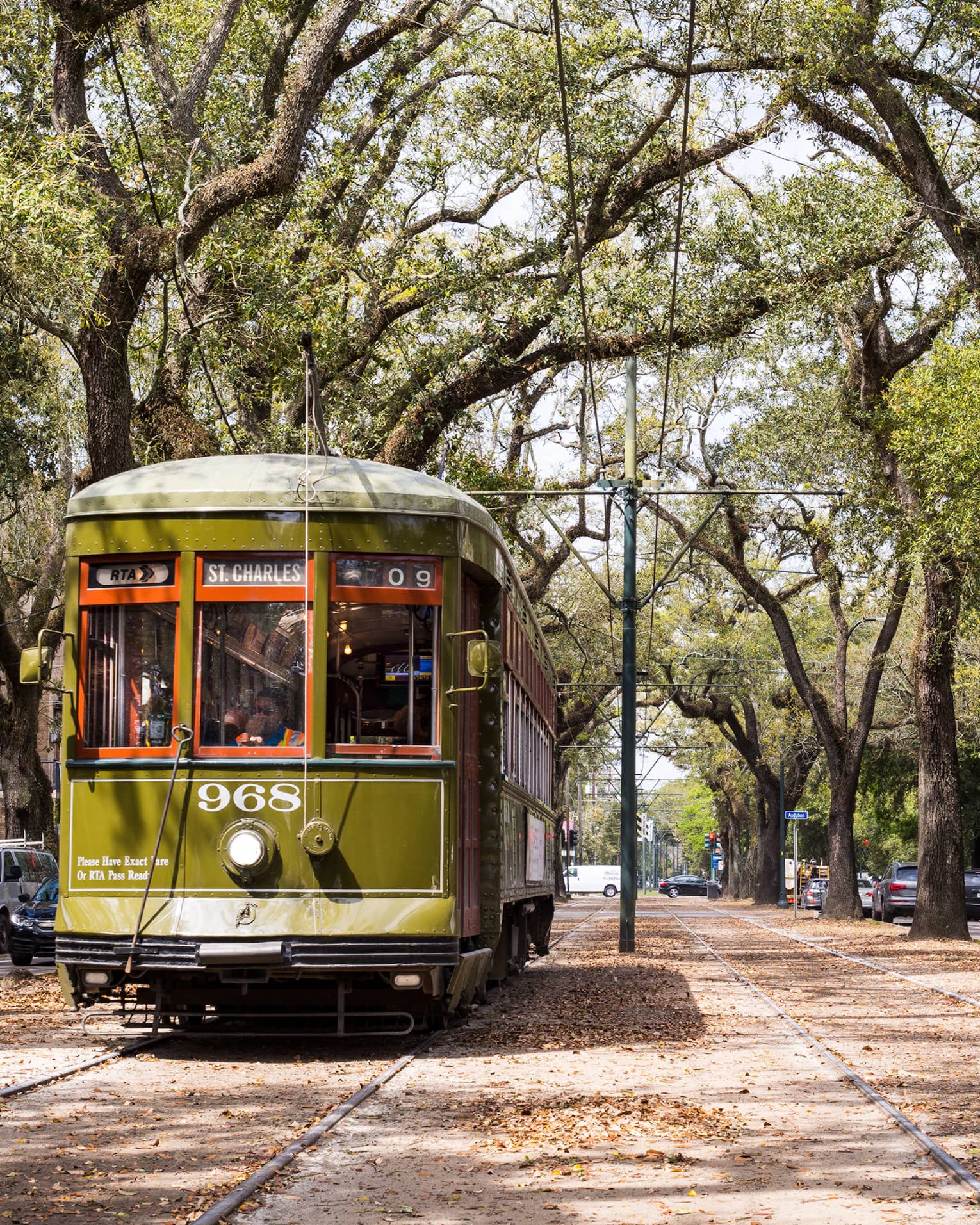 Vintage streetcar on track between trees on New Orleans street