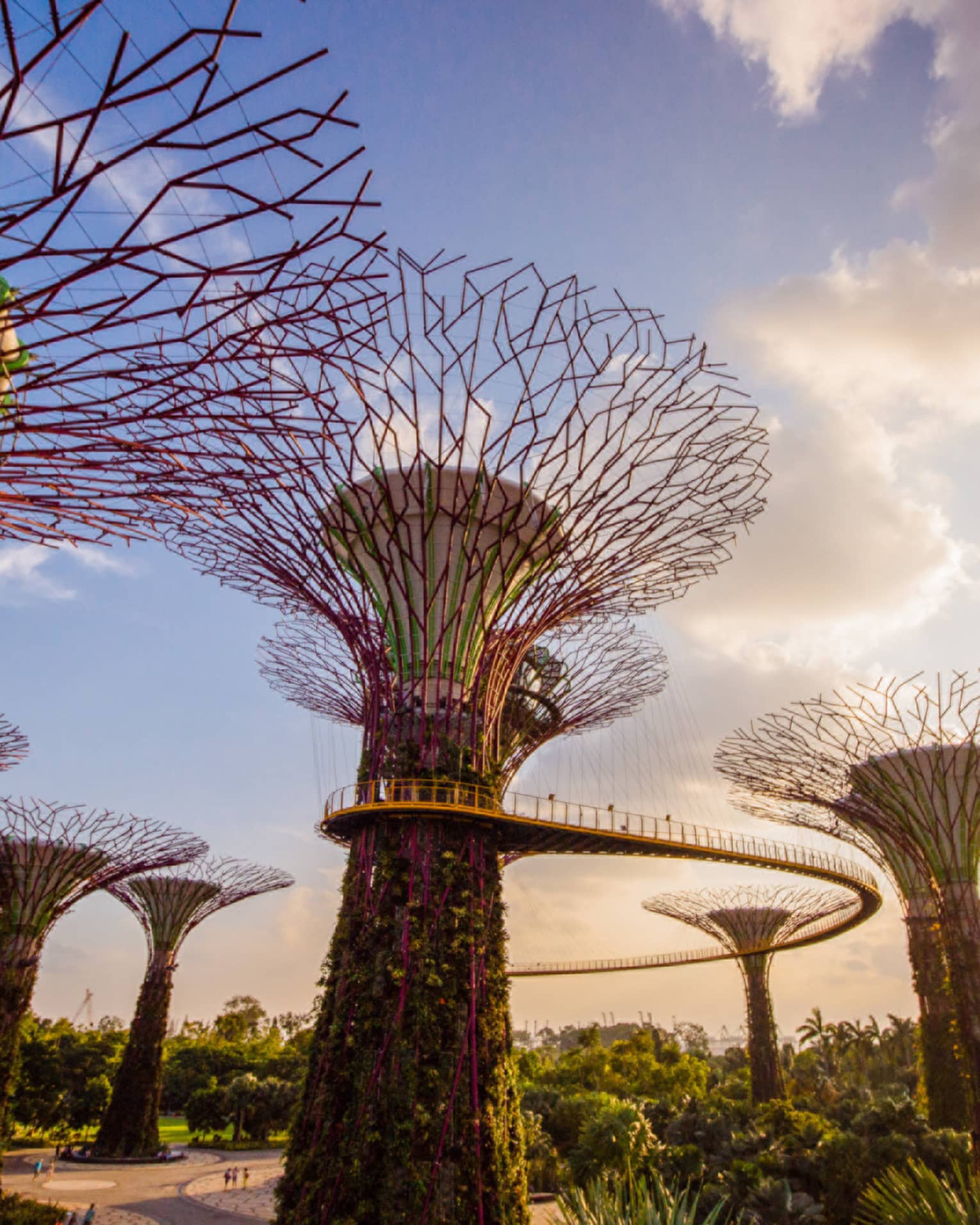 A view of modern art in Gardens by the Bay in singapore