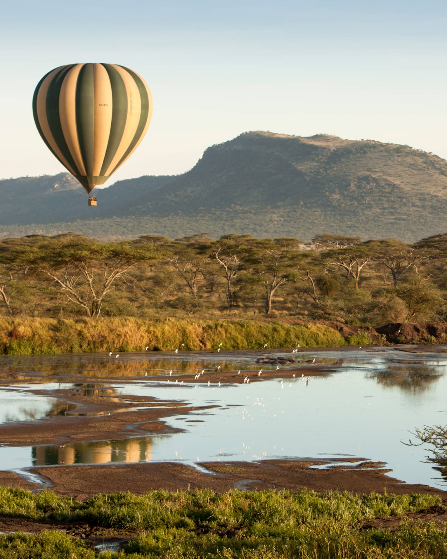 Striped hot air balloon floating over Serengeti fields, ponds