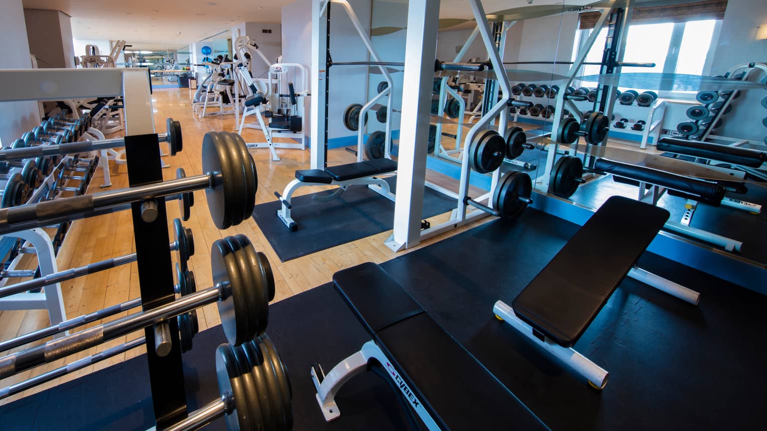 Fitness facility barbells and weight lifting machines, with cardio machines and mirrors on lower level
