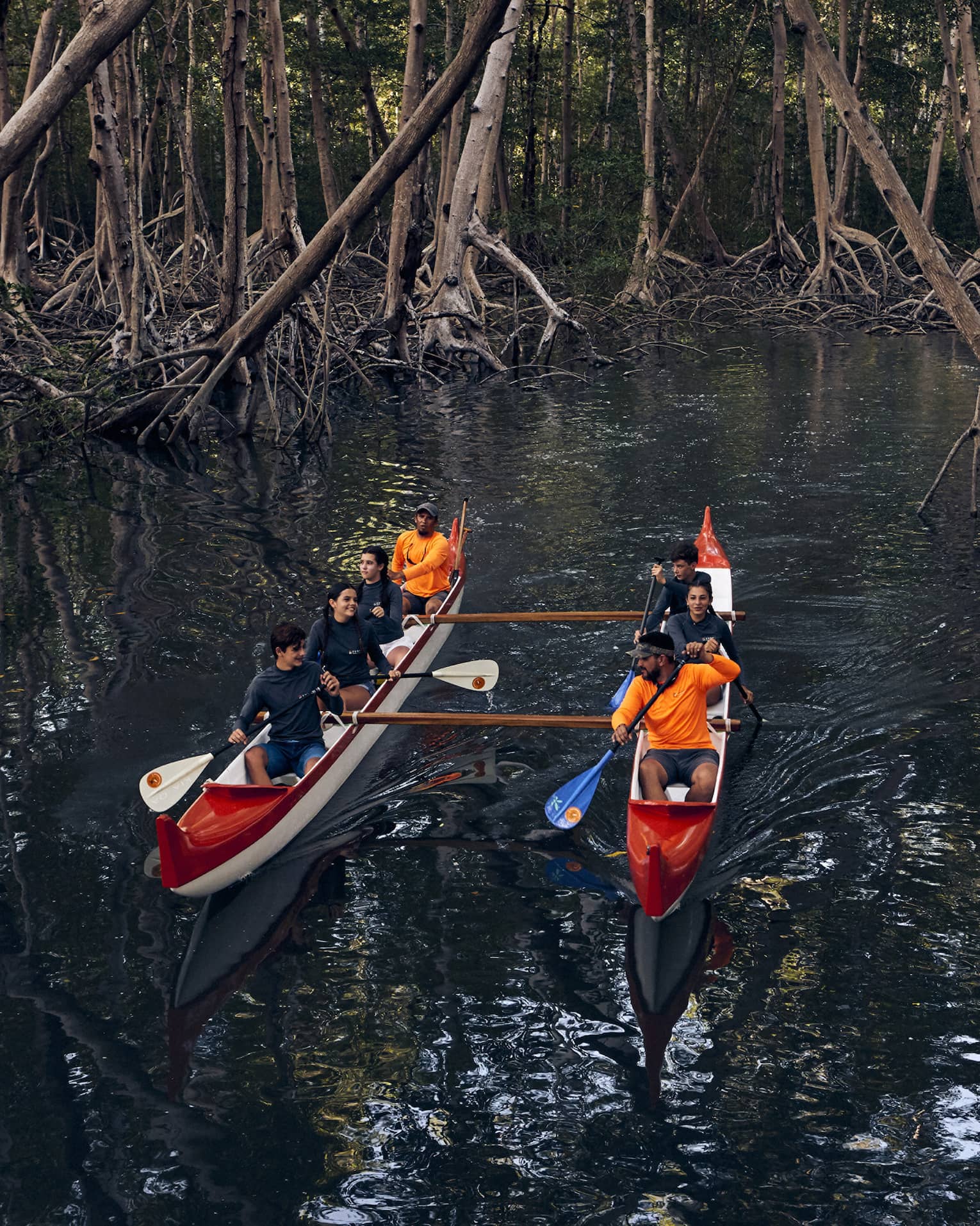 Two red-and-white canoes each holding four people glide through the water between mangrove trees