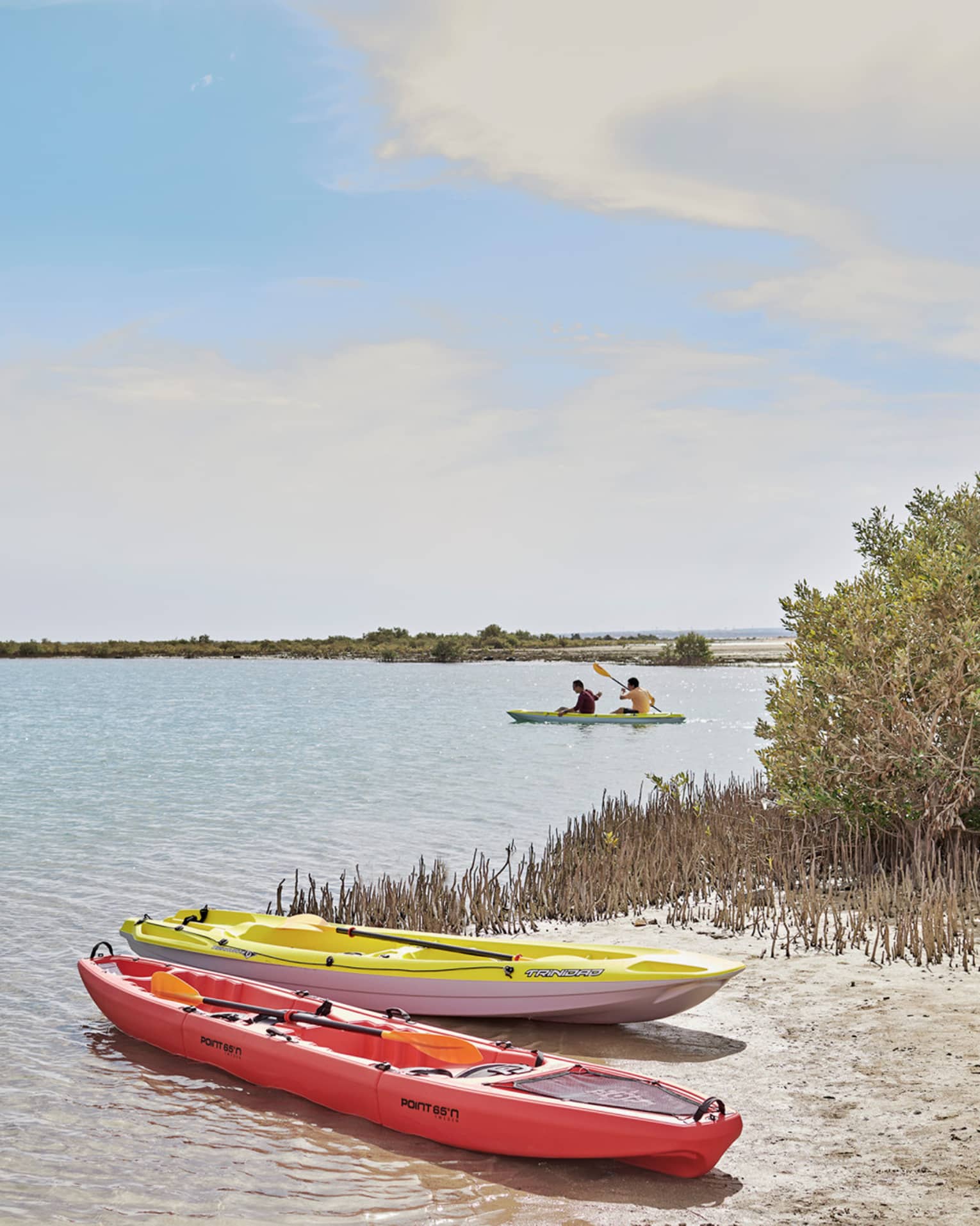Two beached kayaks – one red, one yellow – amid grass and shrubs; two people paddling in a tandem kayak in the distance.
