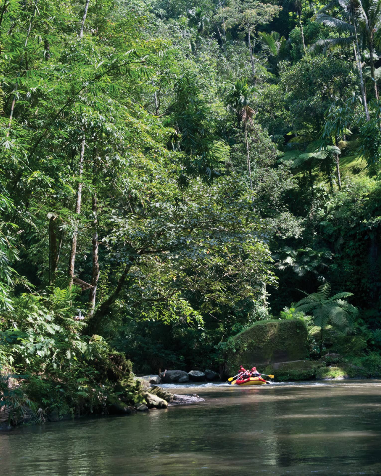 People water rafting along Ayung River beneath trees 