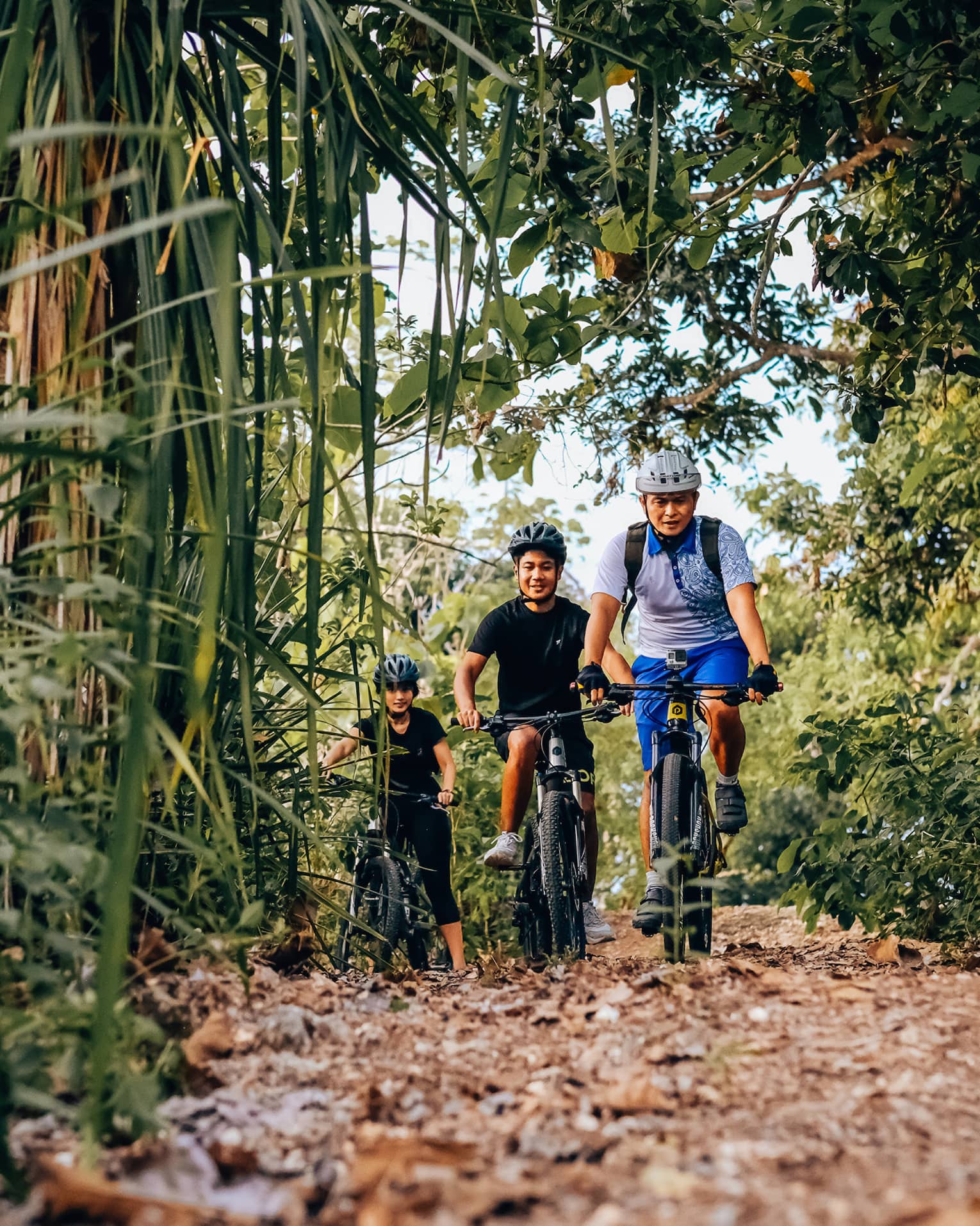 Three friends bike through the bamboo forest