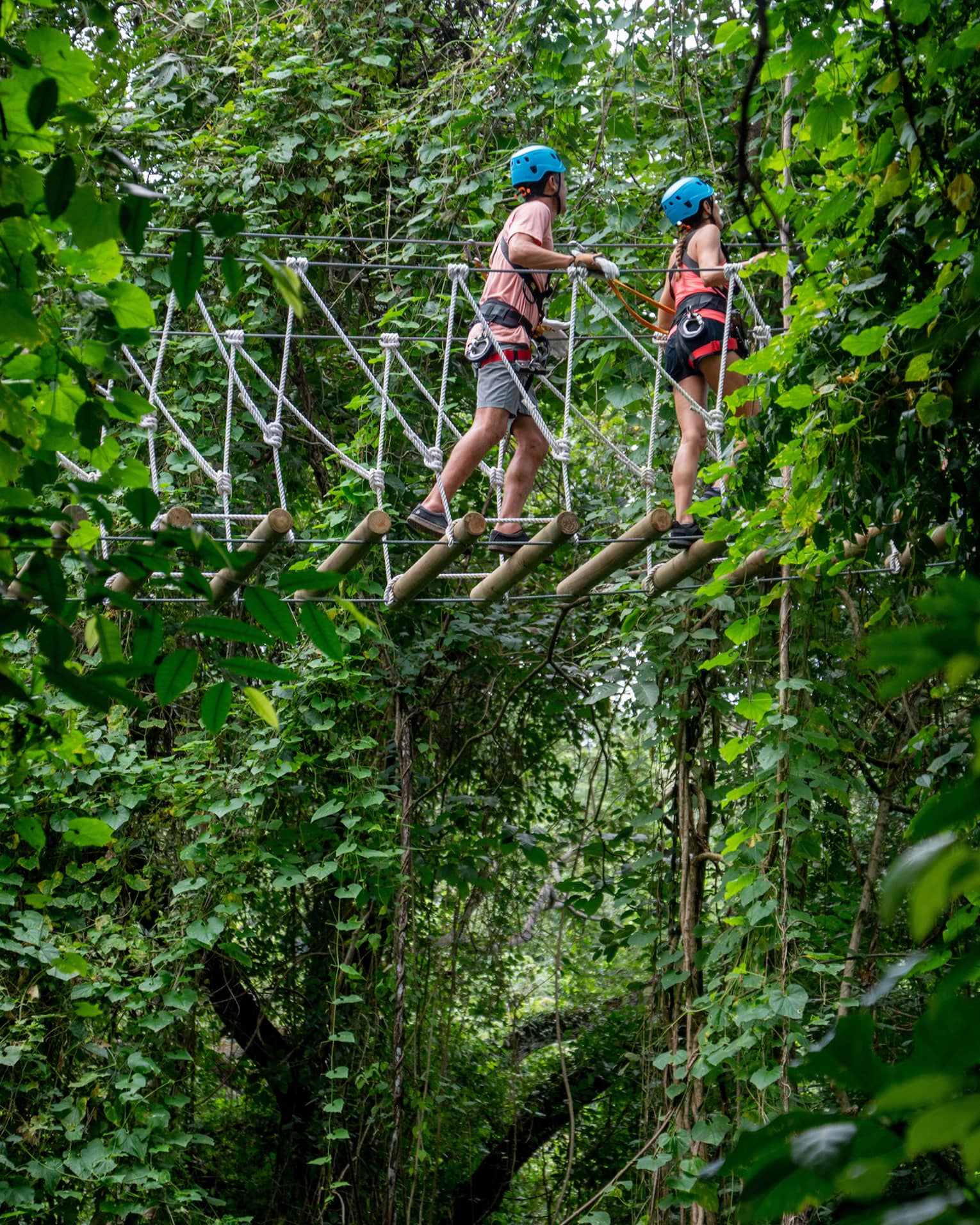 Two people wearing blue helmets walking through a thick treeline on an aerial ropes course