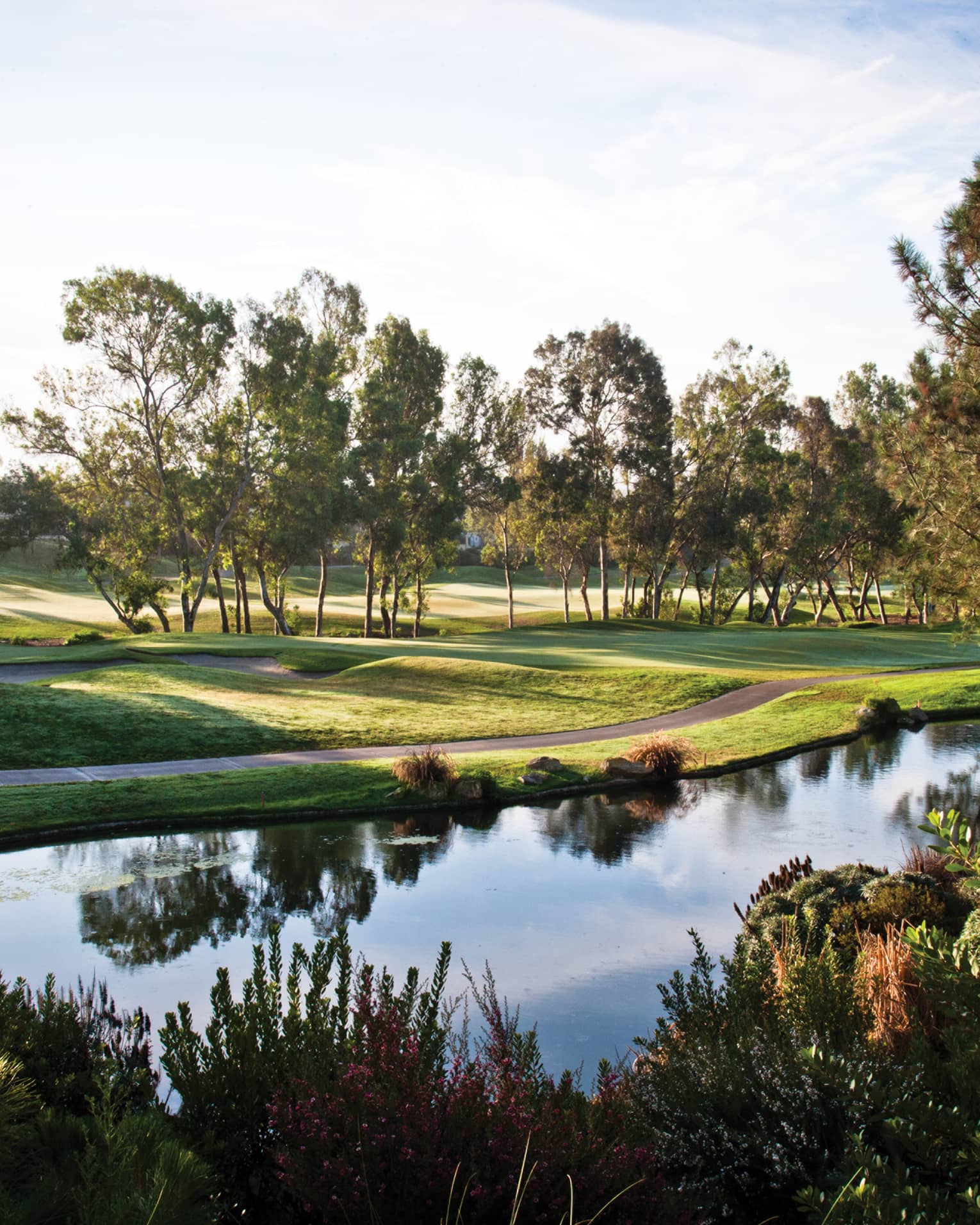 View of empty golf course green from across pond, bushes, on sunny day