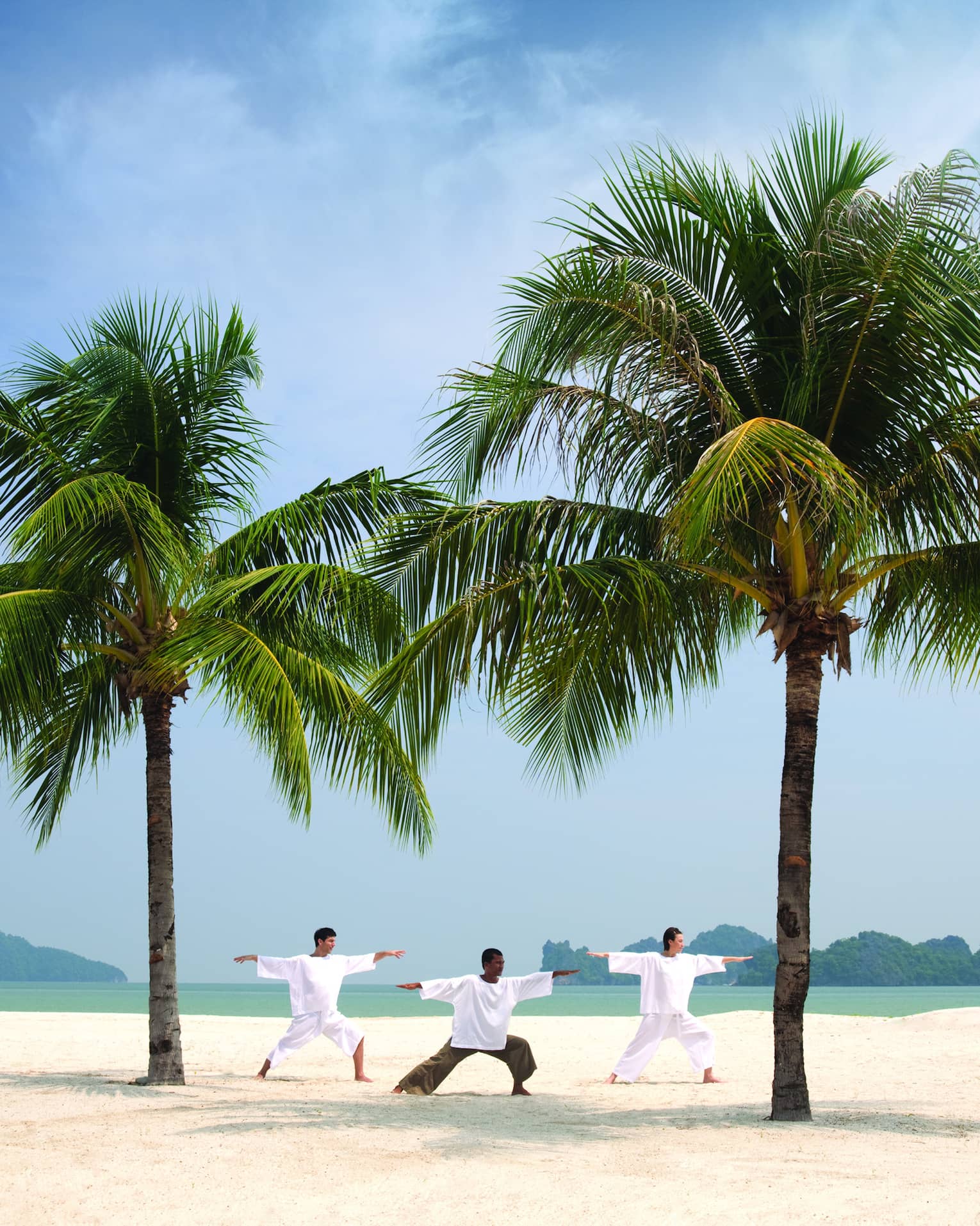 Three people stretch, balance in yoga poses between two large palms on beach