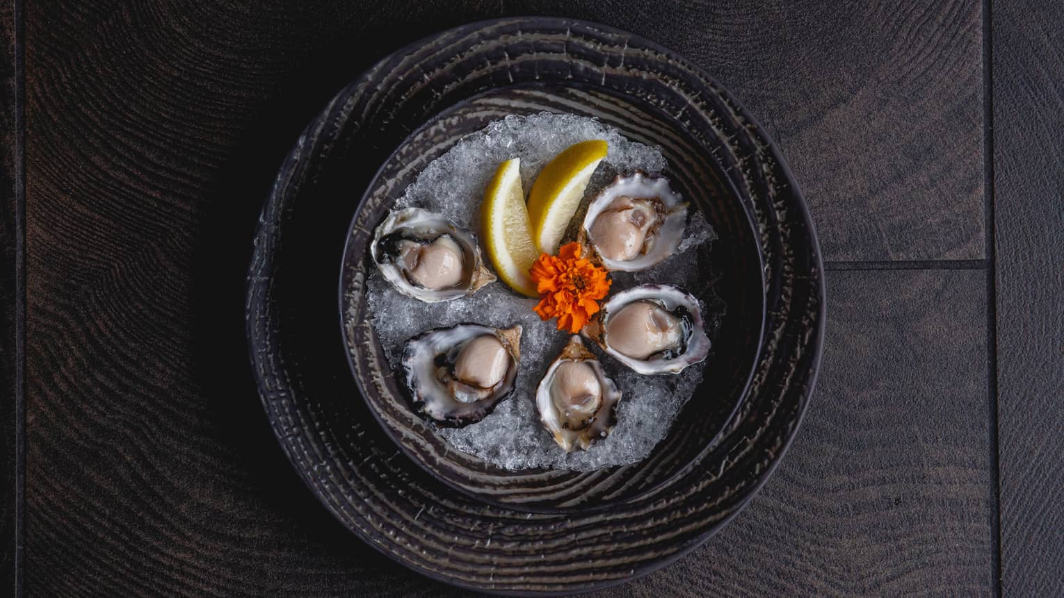 Aerial view of platter with oysters, lemon wedges, red flower on ice