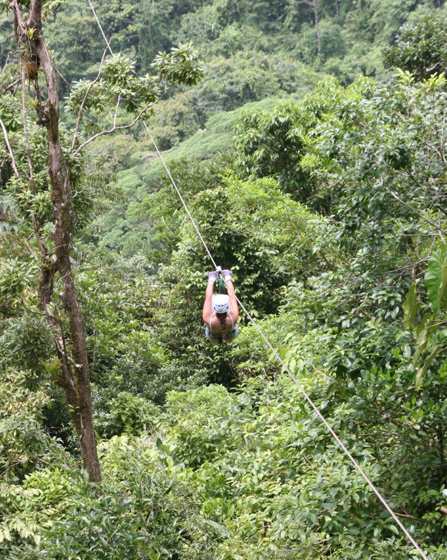 Aerial view of a person zip-lining through dense forest. Gripping the handlebars, the adventurer soars above towering trees.