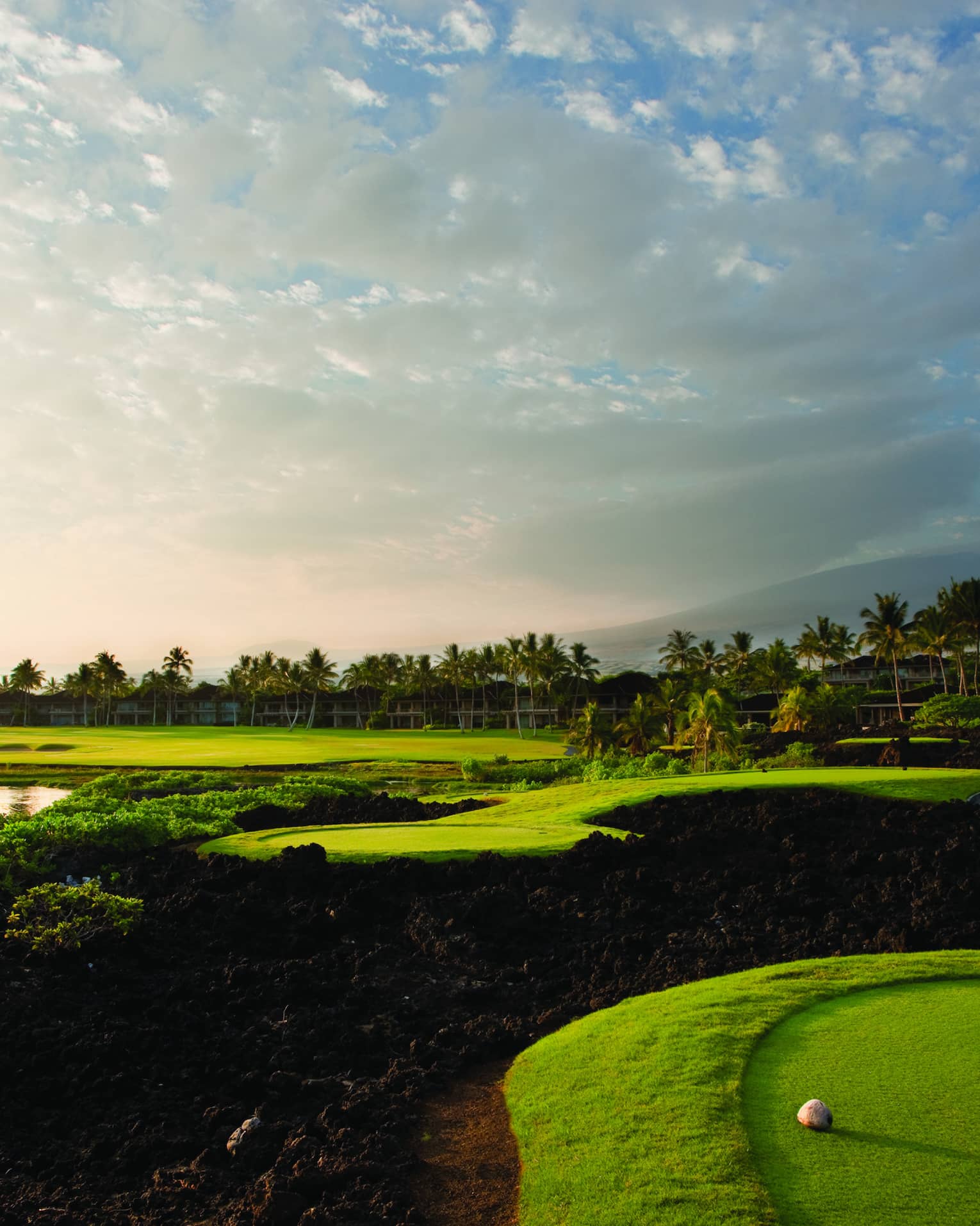 A picturesque golf course featuring bright green fairways, shrubs and distant palm trees under a rose-tinted clouded sky.