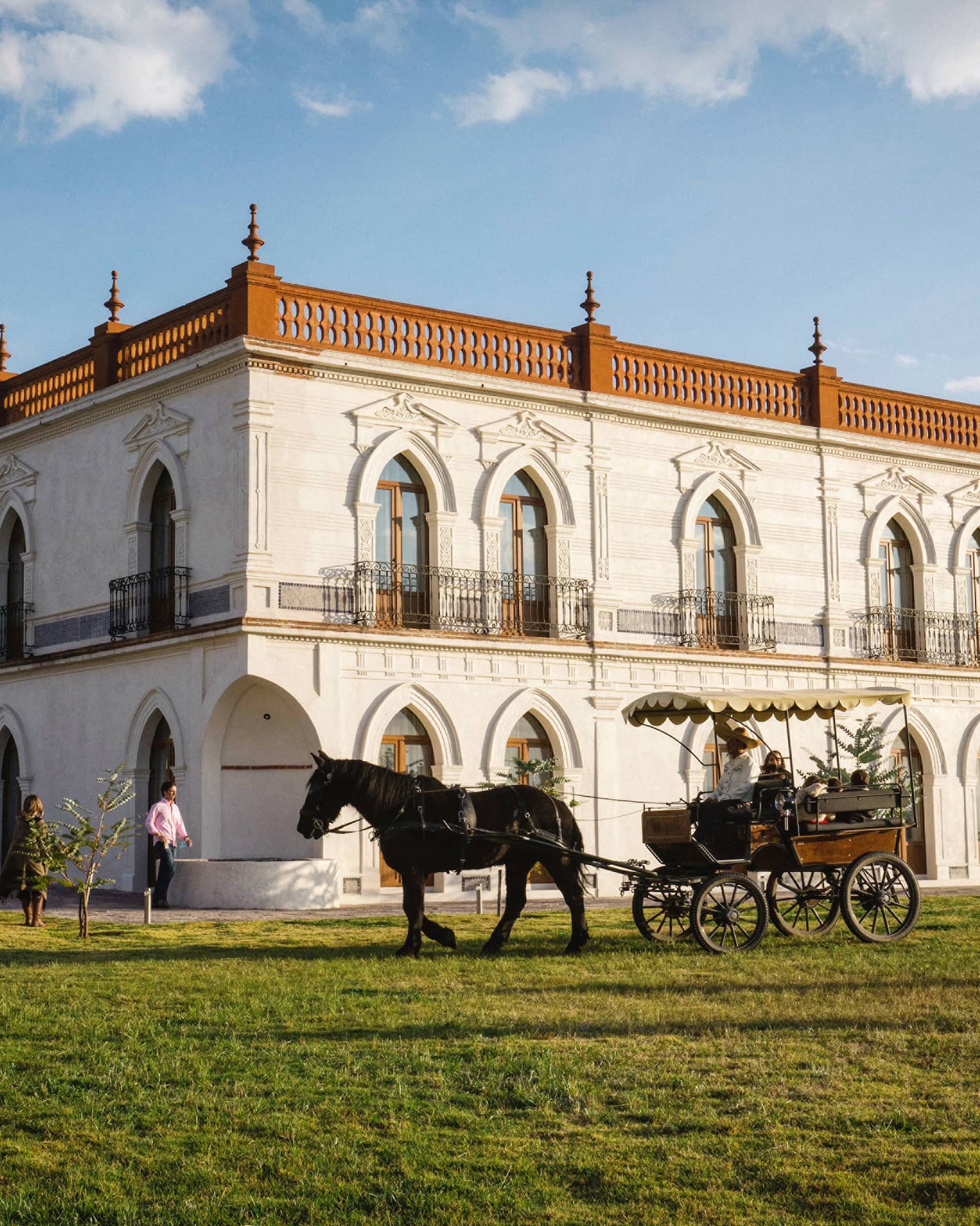 A horse pulling a carriages over grass outside of a large building.
