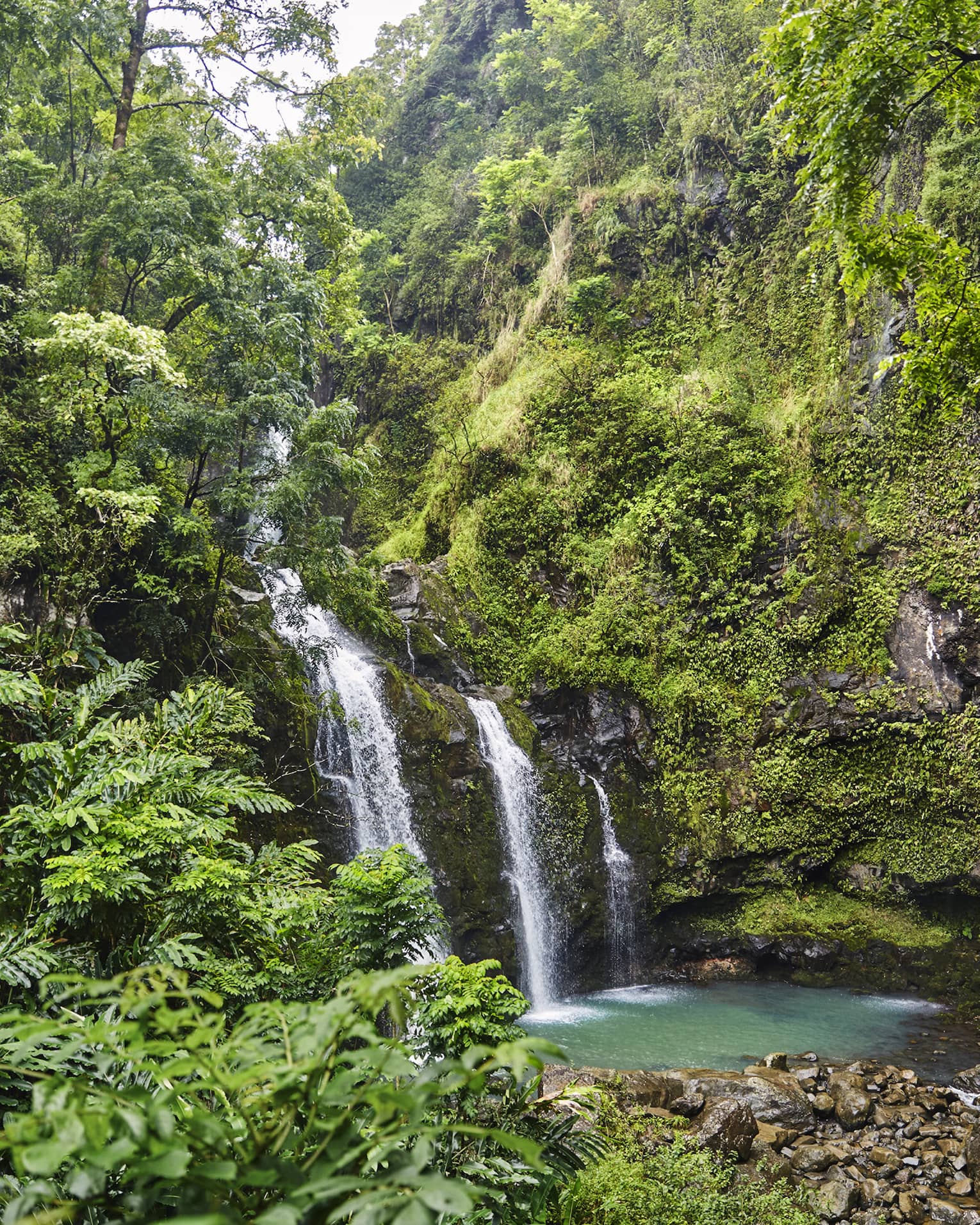 Waterfall flows over rock surrounded by lush green tropical forest 