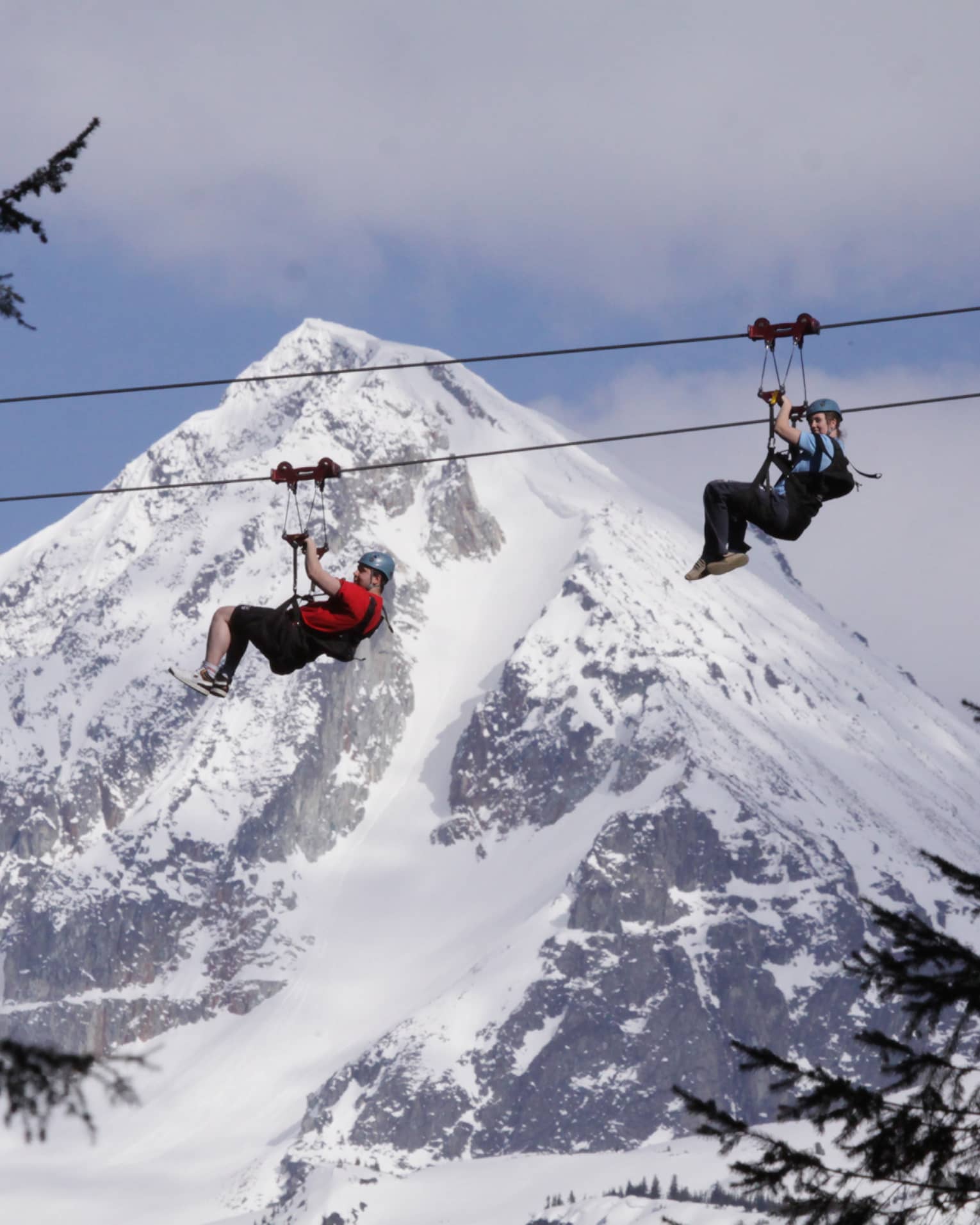 Two people zipline past pine trees with snowy mountain in background 