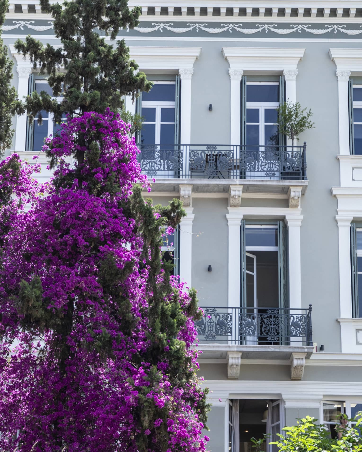 Exterior of a house in downtown Athens, Greece, with purple tree and Greek flag out front