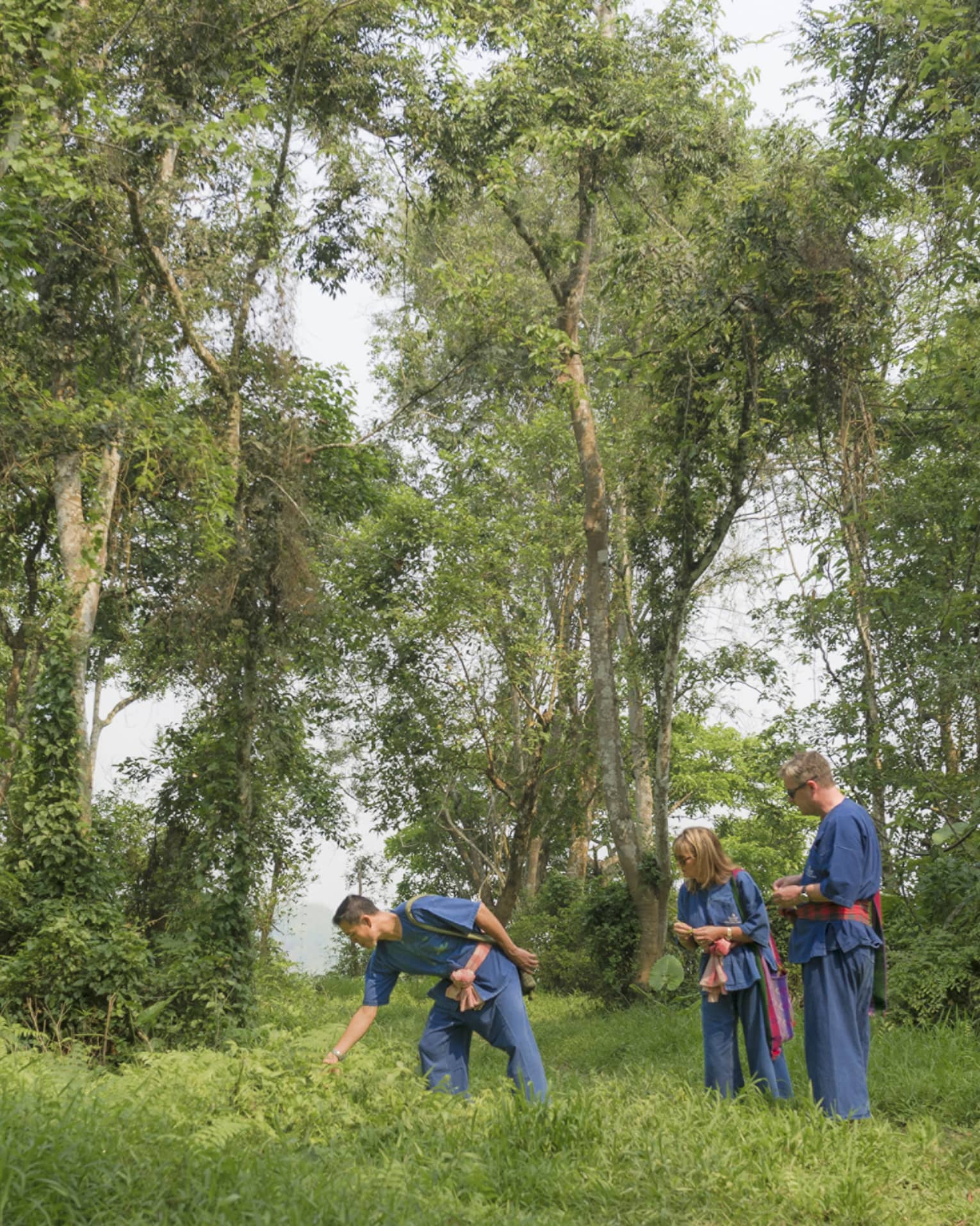 Three guests in loose denim pants and belted smocks stand in a clearing, two watching a third reach down into the tall grass.