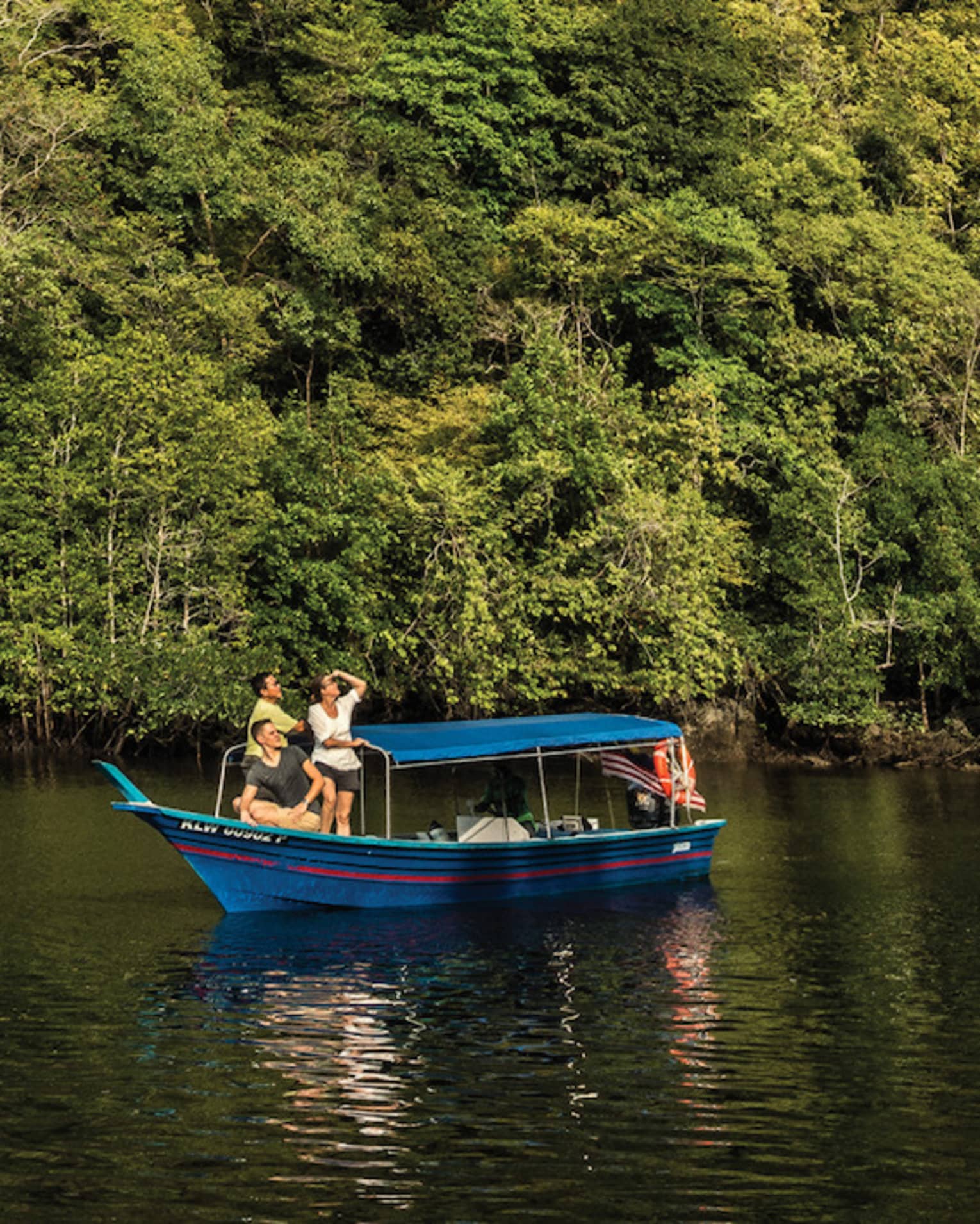 A majestic mountain rainforest looms behind tourists in a small, canopied riverboat as they watch eagles soaring high above.